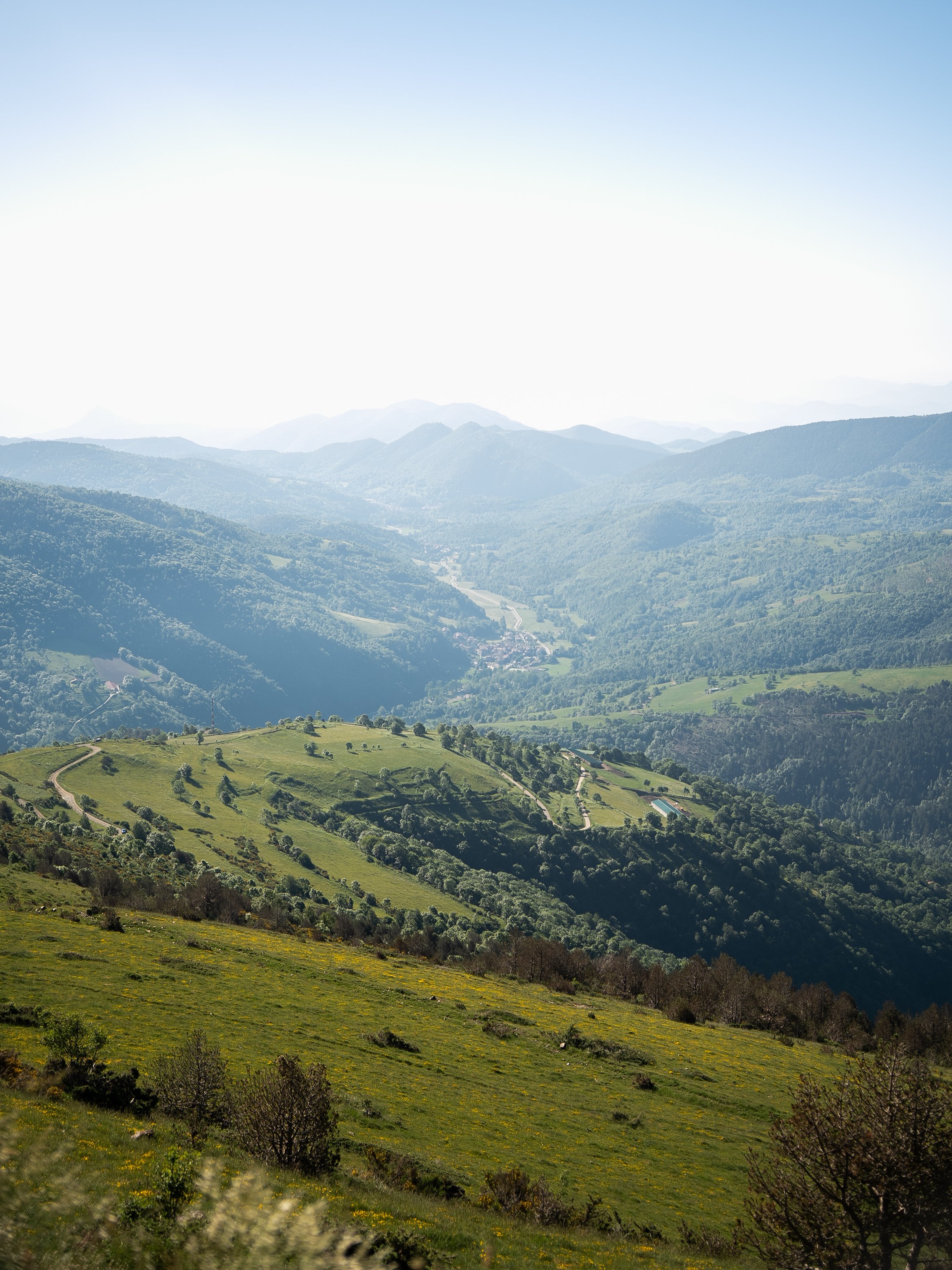 _A743587.jpg