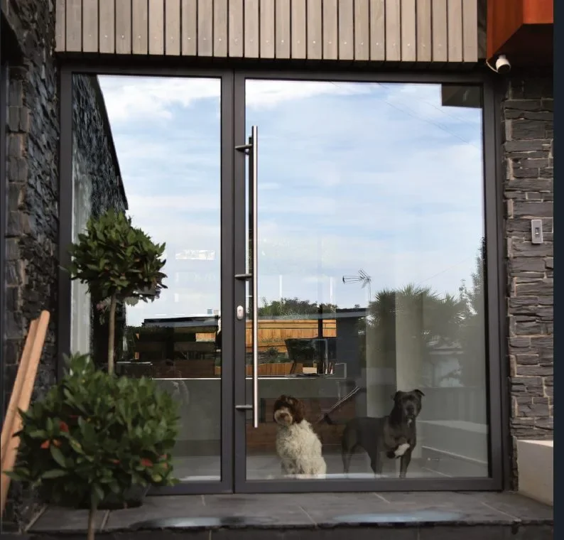 Two dogs sitting behind a aluminium glass pivot door of a modern house, with trees and a cloudy sky visible outside and potted plants on the porch.