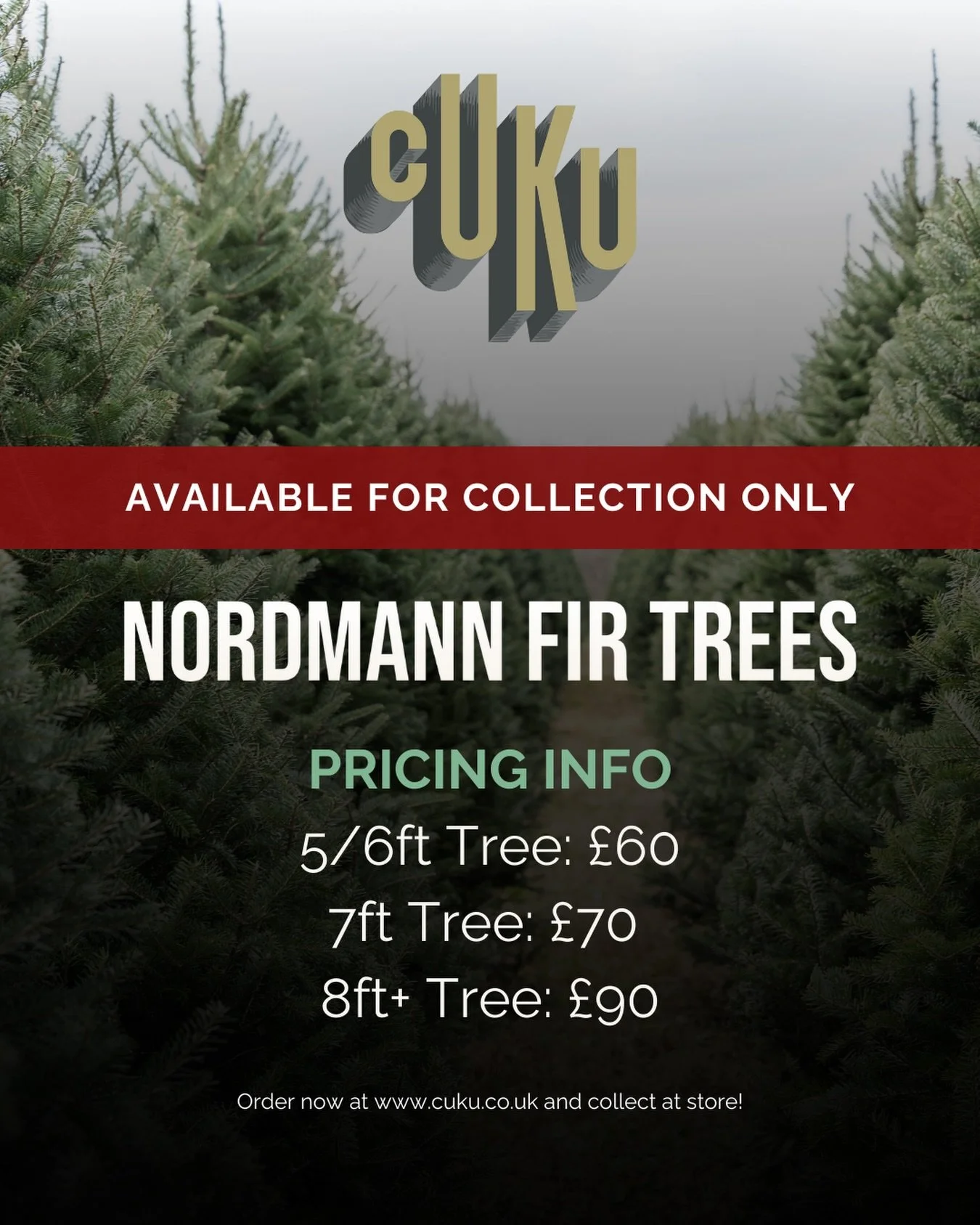 Nothing beats bringing home a real tree for Christmas 🎄✨

Our Nordmann Firs are in and ready for collection, fresh, full and perfect for making your place feel properly festive.

Order online and pick yours up before they&rsquo;re away!

www.cuku.co