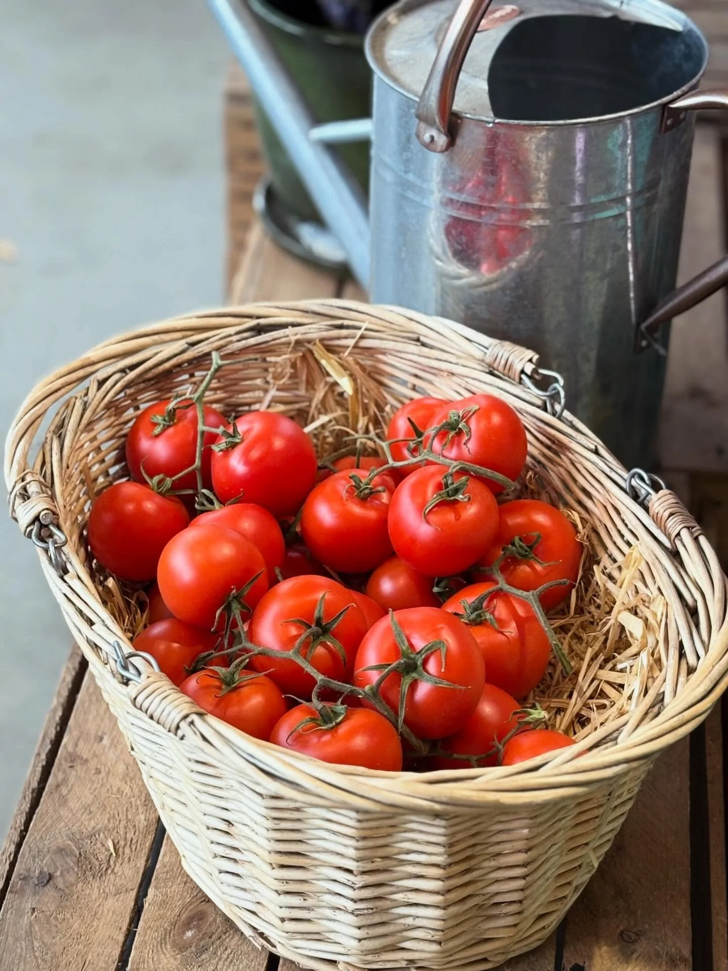 Get your mid week essentials from your fave local spot 🧺📍

We&rsquo;ve got fresh fruit &amp; veg, a great selection of Italian pasta &amp; sauces, plant milks, organic teas &amp; more 🙌

#glasgowdeli #westendglasgow