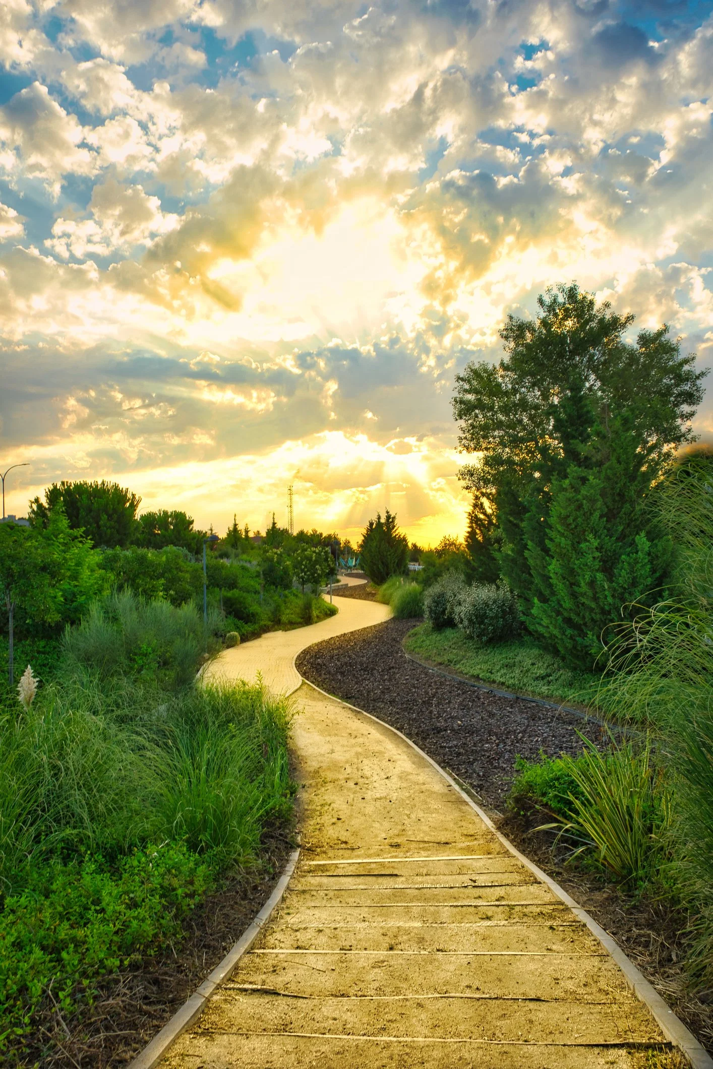 Ein sonniger Weg durch einen gepflegten Garten mit Bäumen und Büsche, unter einem bewölkten Himmel.