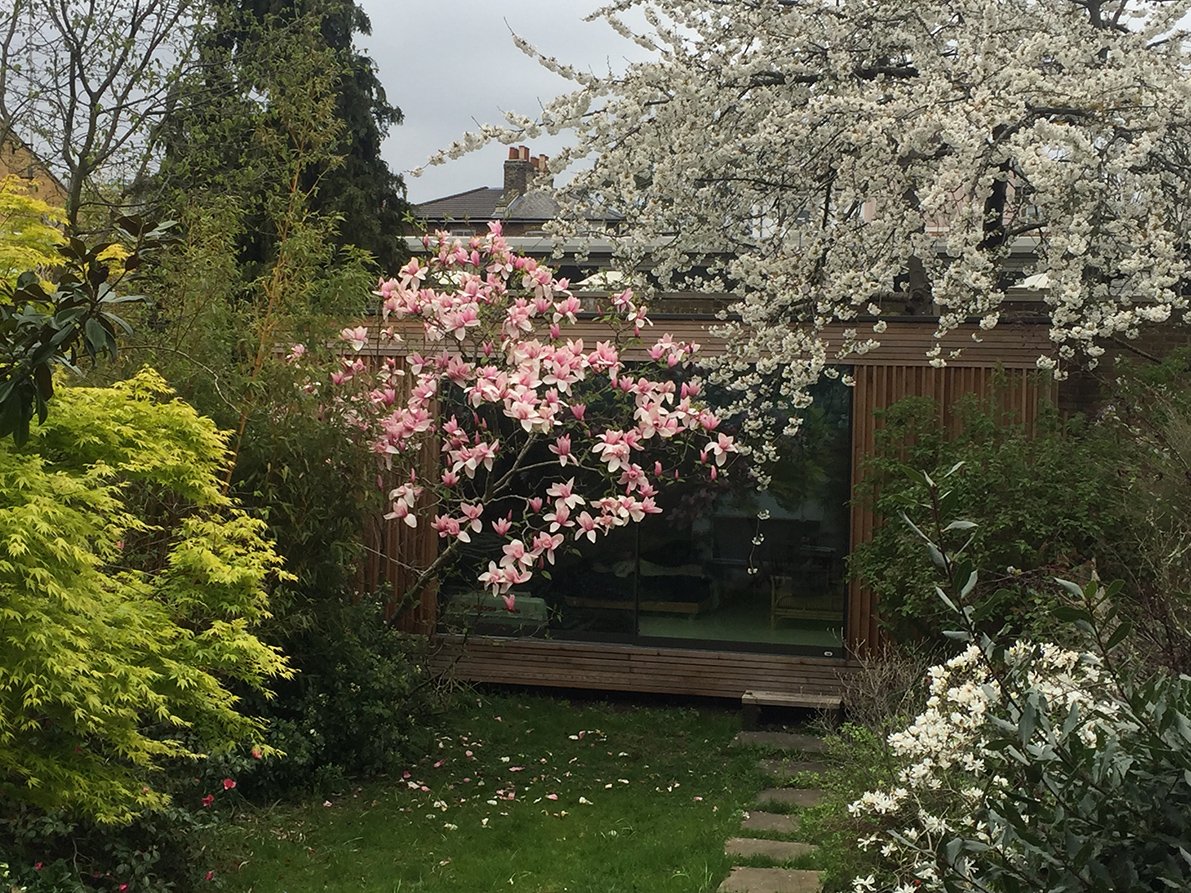 The studio in spring