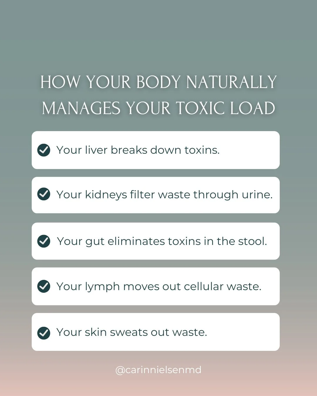 You detox every day.⁠
Not just during a juice cleanse.⁠
Not just after a vacation binge.⁠
⁠
Your body has built-in systems designed to clear out everyday waste&mdash;and they&rsquo;re working behind the scenes right now. But they need a little help f
