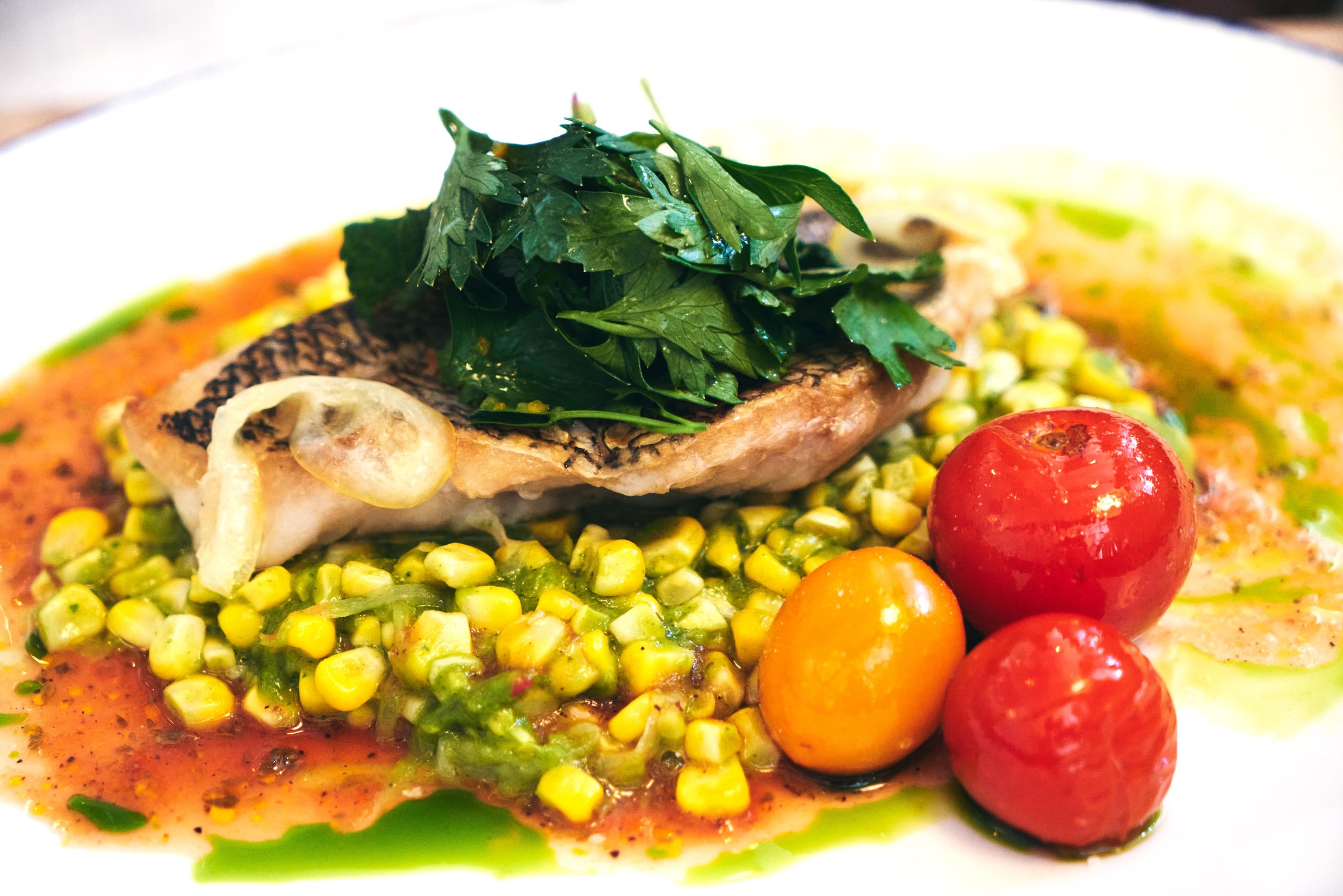 A plated dish with a piece of cooked fish, topped with fresh green herbs, served on a bed of cooked corn and diced vegetables, garnished with three cherry tomatoes and drizzled with sauce.