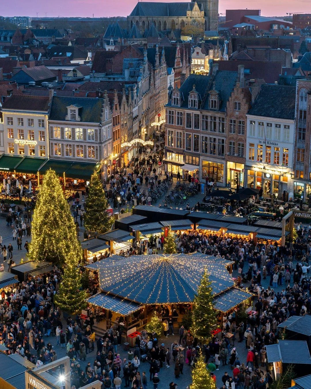 Did you miss out on the European Christmas markets this year? Are you dreaming of spending the festive season beneath the Northern Lights? Or do you have your sights set on some winter sun?

As your family gathers for the holidays, it is the perfect 