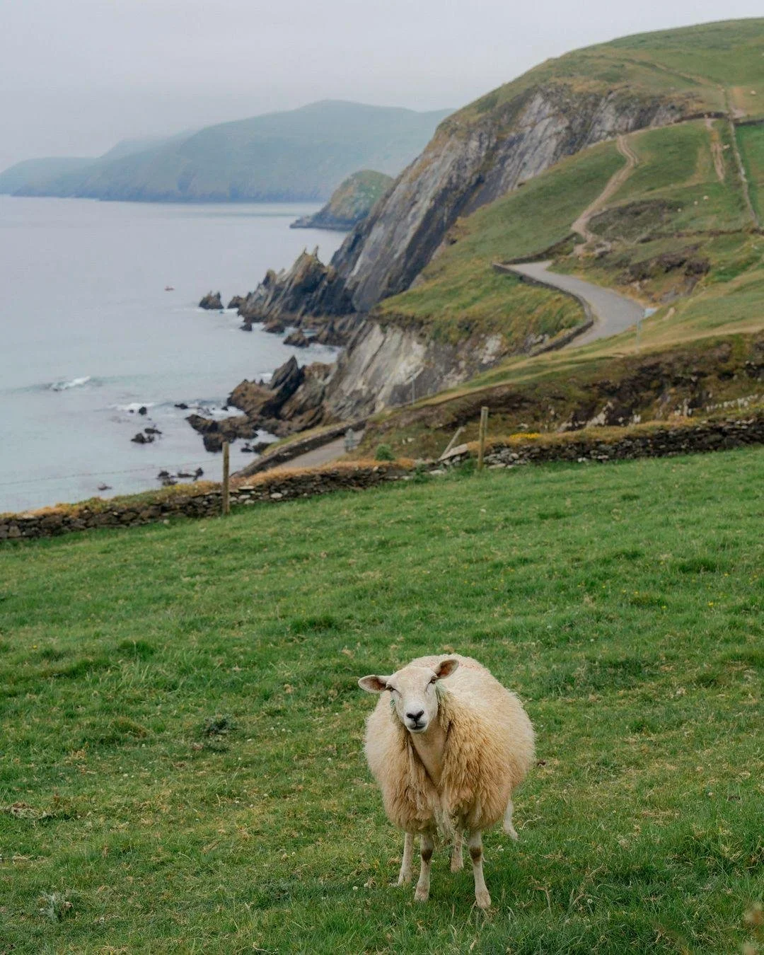 Ireland is having a moment, and Killarney is at the heart of it.

This corner of the country is perfectly suited to travelers drawn to scenic routes, unhurried days, and stories layered through the landscape. Bordering Ireland&rsquo;s first national 