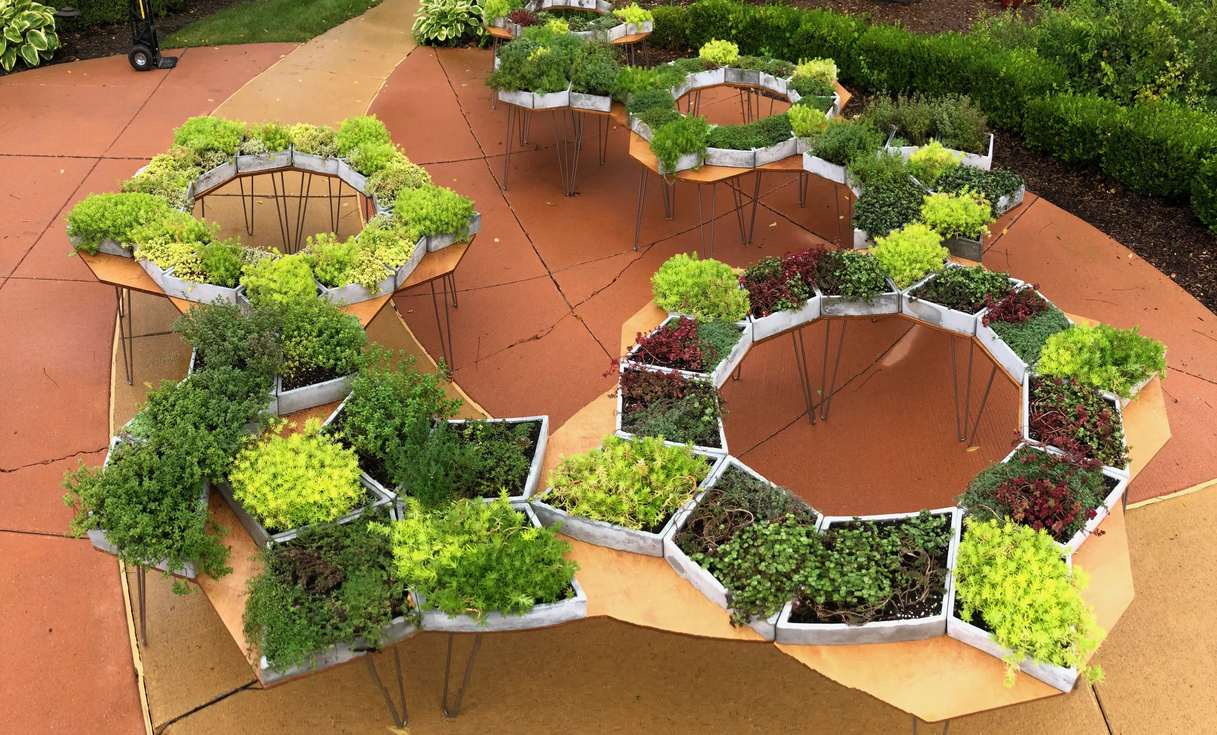 Community Project: Between the Earth and Sky