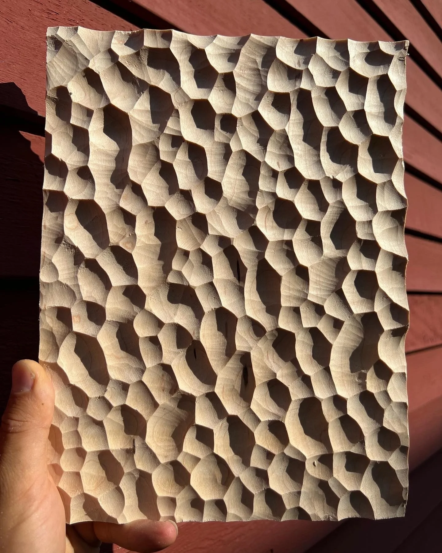 3E6FD837-729E-40F0-81E2-0F6A9B663474.jpeg