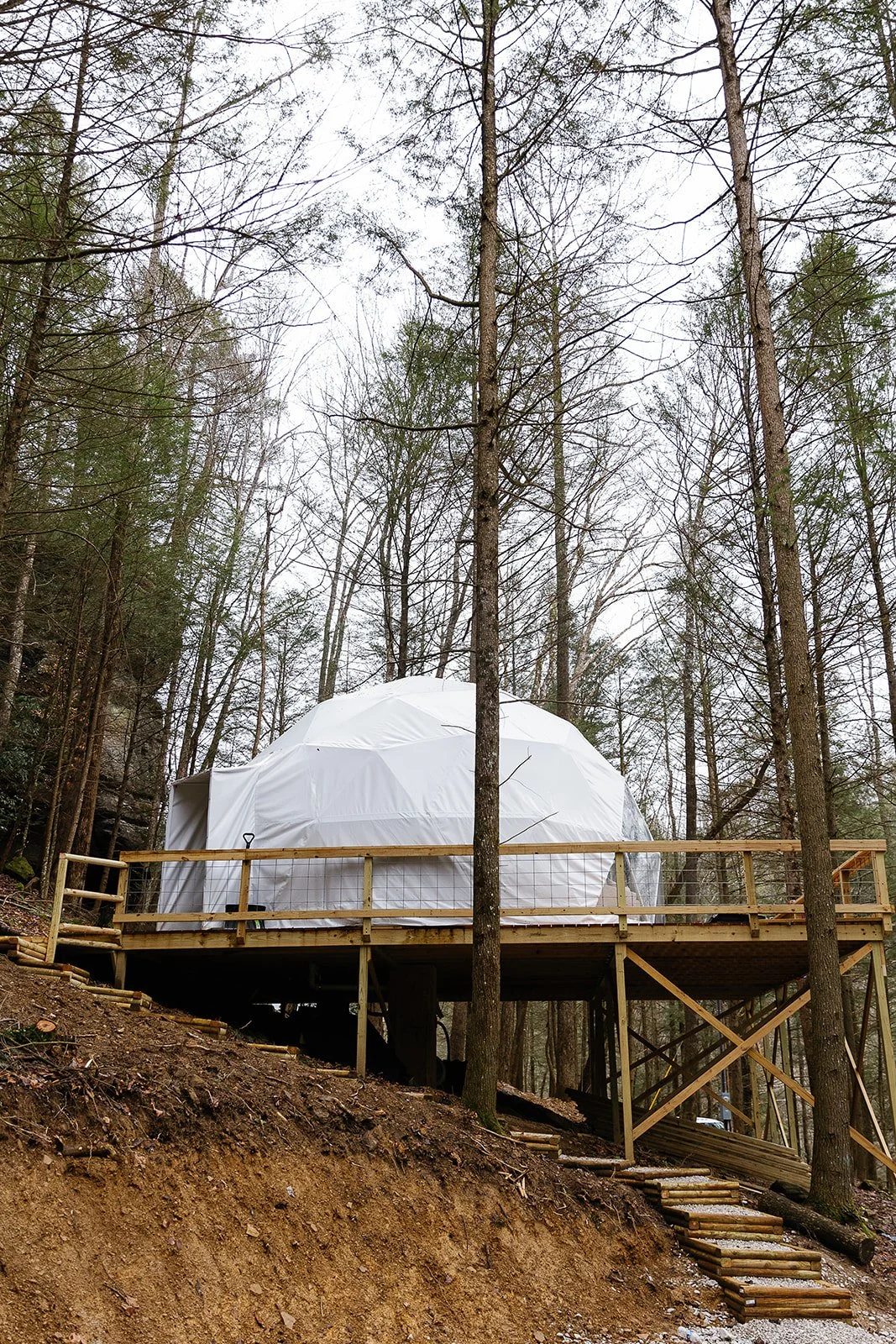 Lil' Dome39_websize.jpg