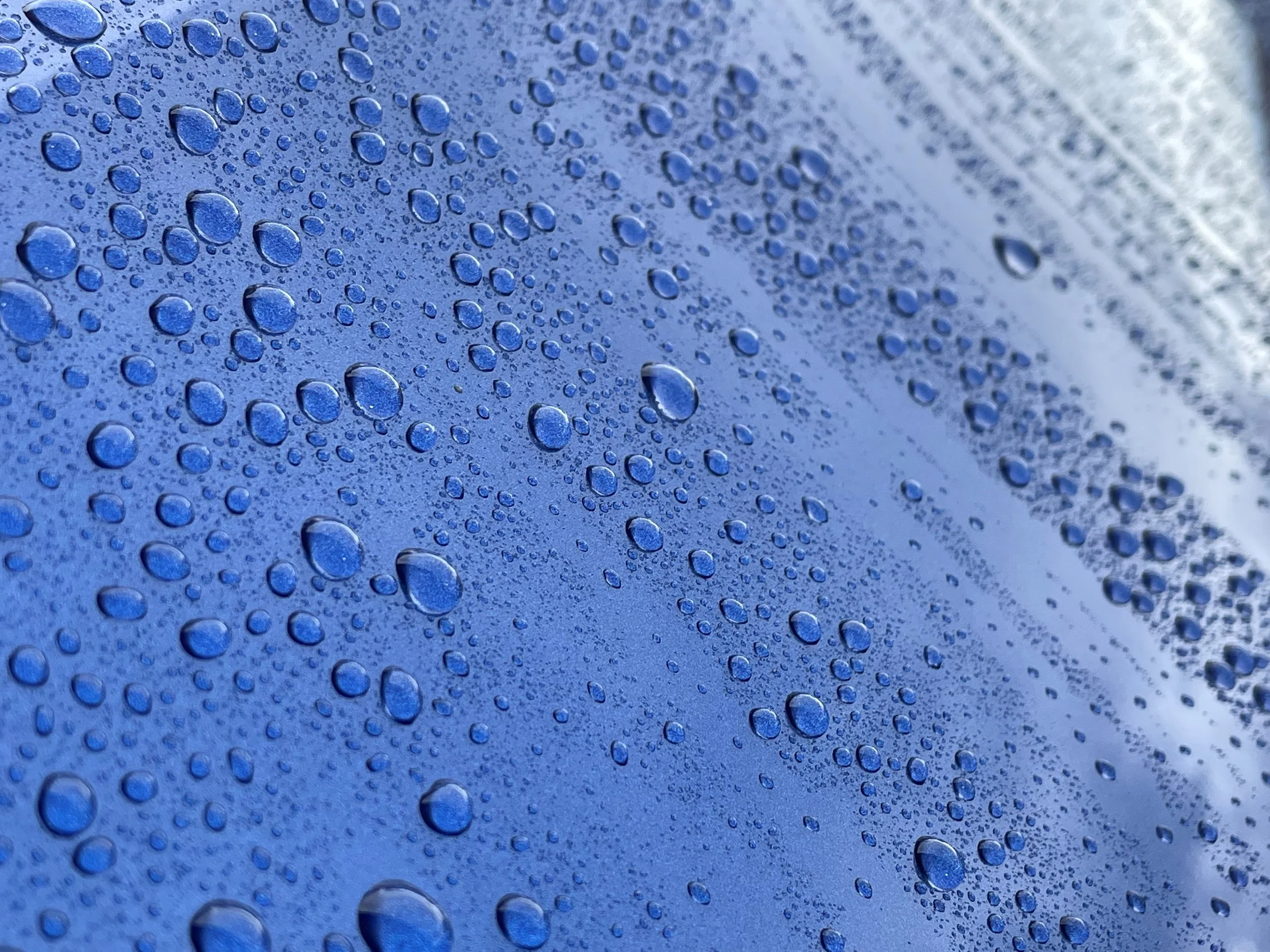 Liquid Carnauba Wax — DFVD