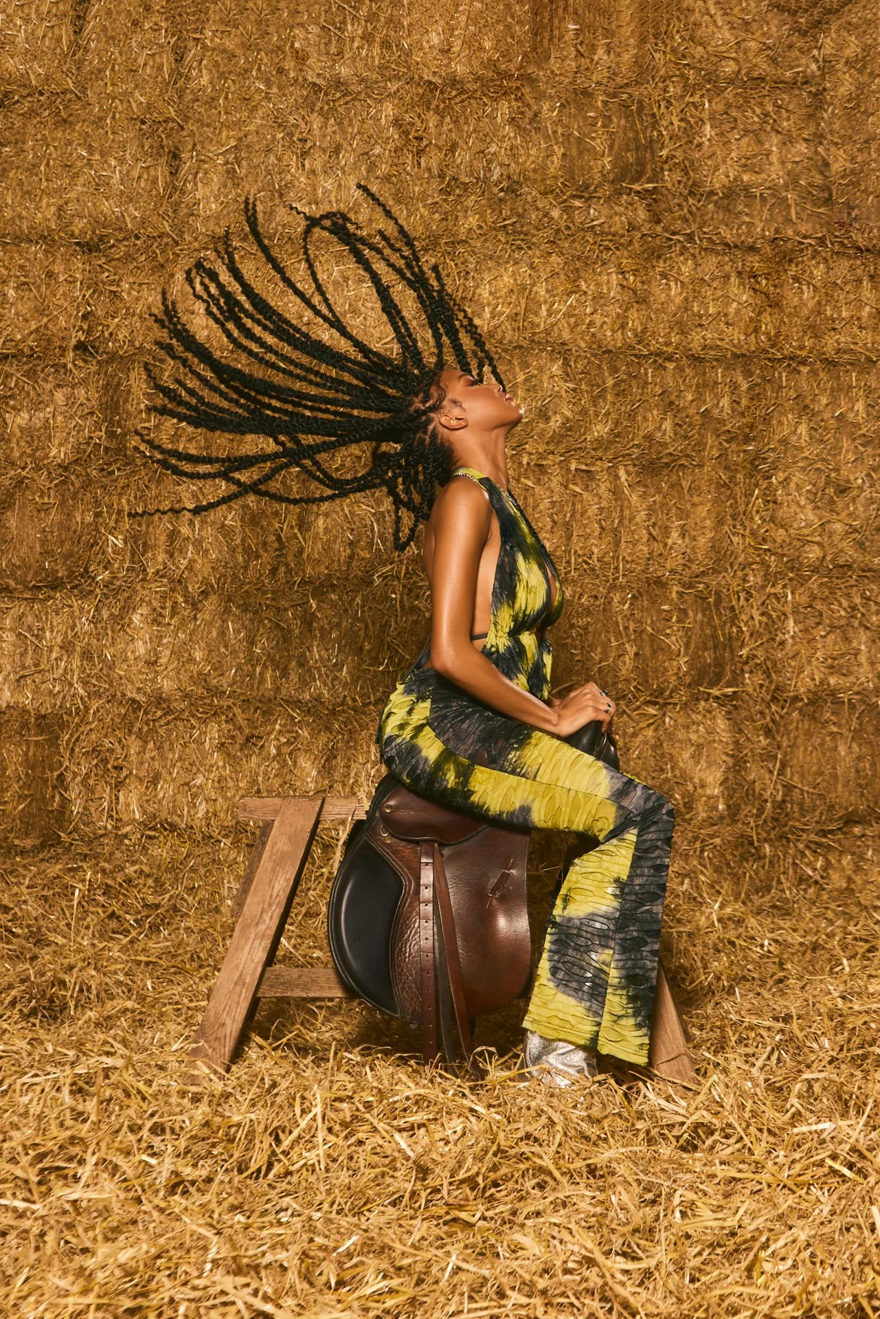 FESTIVAL PT19618-2.jpg