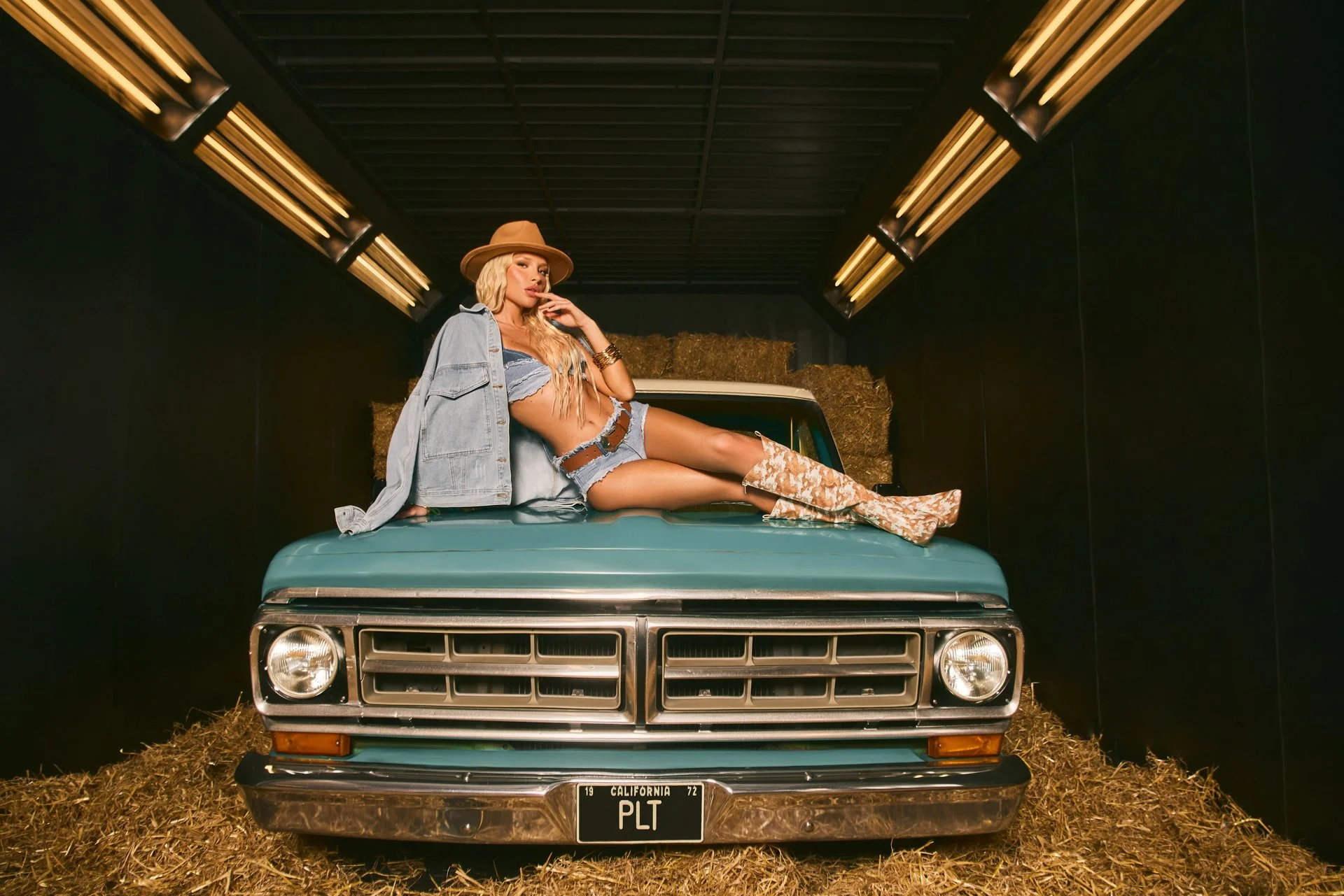 FESTIVAL PT110016 1-2.jpg