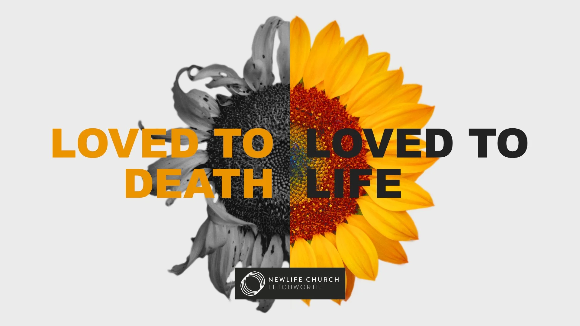 Loved To Death, Loved To Life