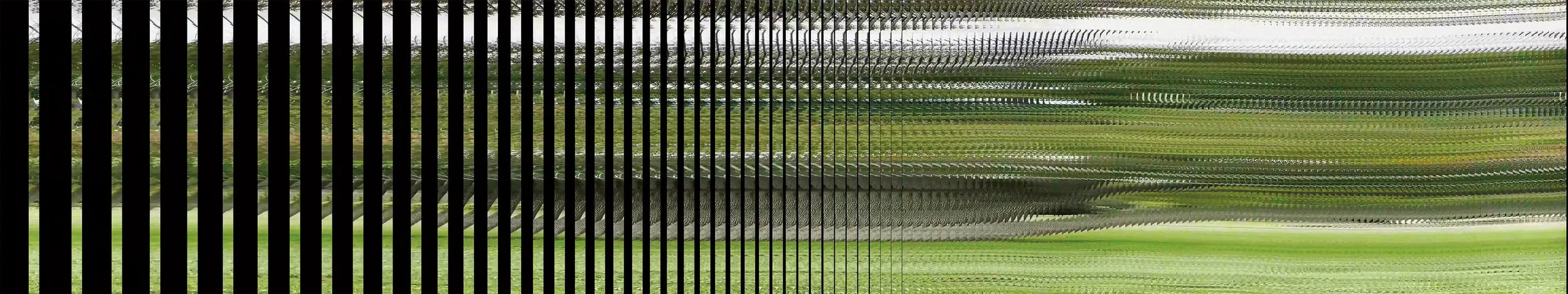 scan a tree2021.00_01_59_12.Still002.jpg