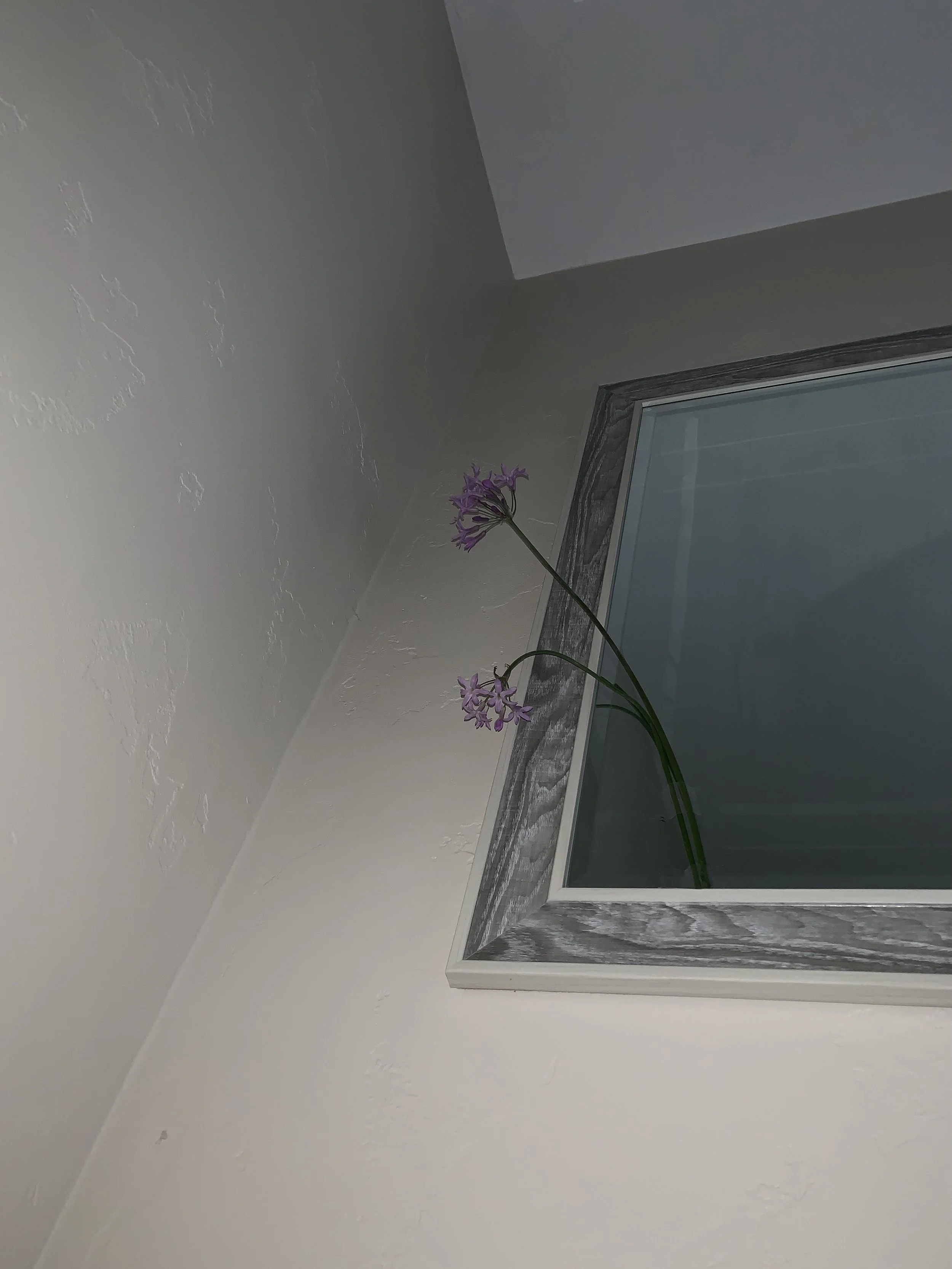 CraneZhu_Space Collage_2019_07.jpg