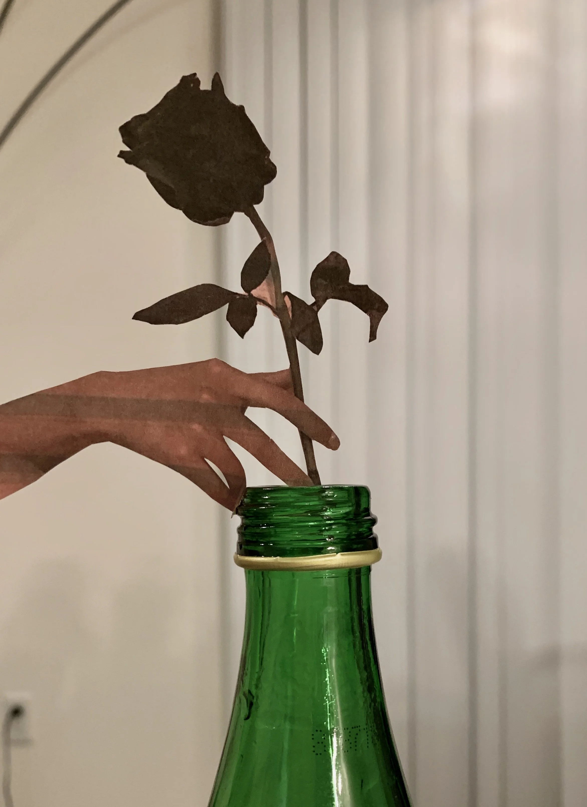 CraneZhu_Space Collage_2019_06.jpg