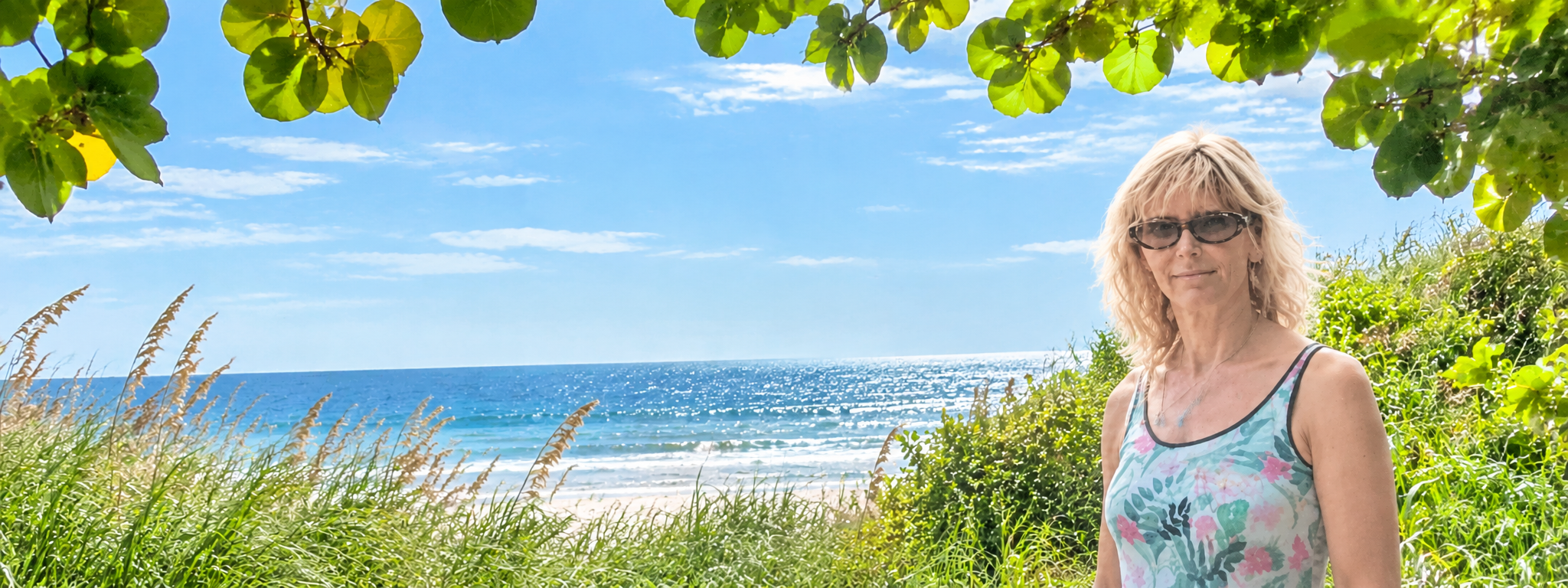 Sunlit Coastal Canopy Portrait.png