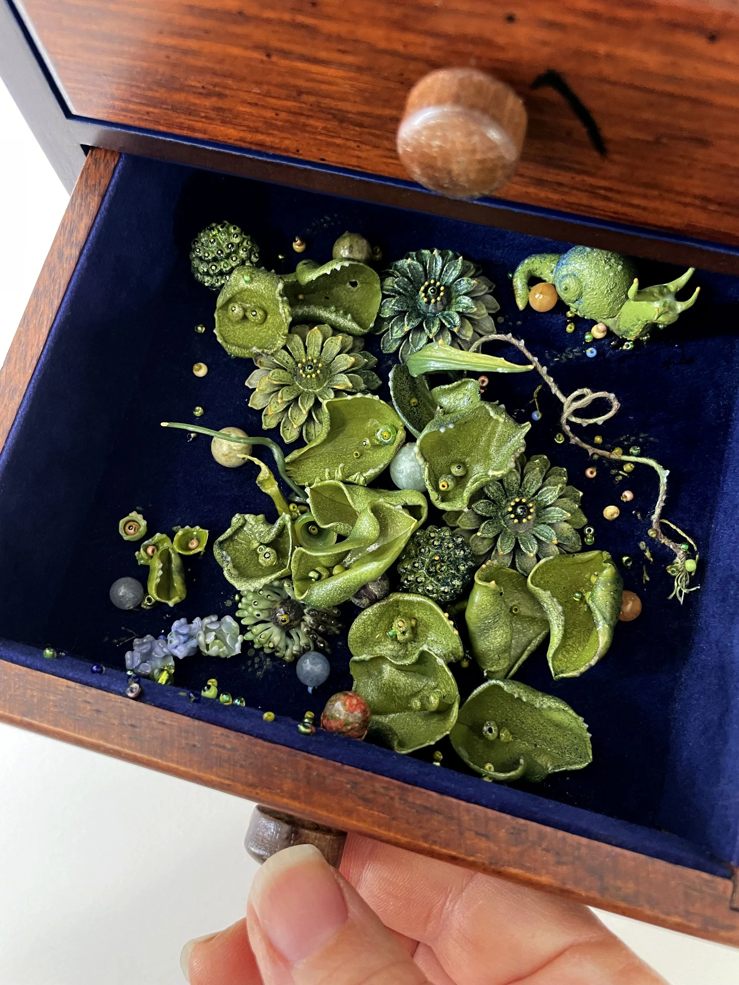 Passerina Femella drawer