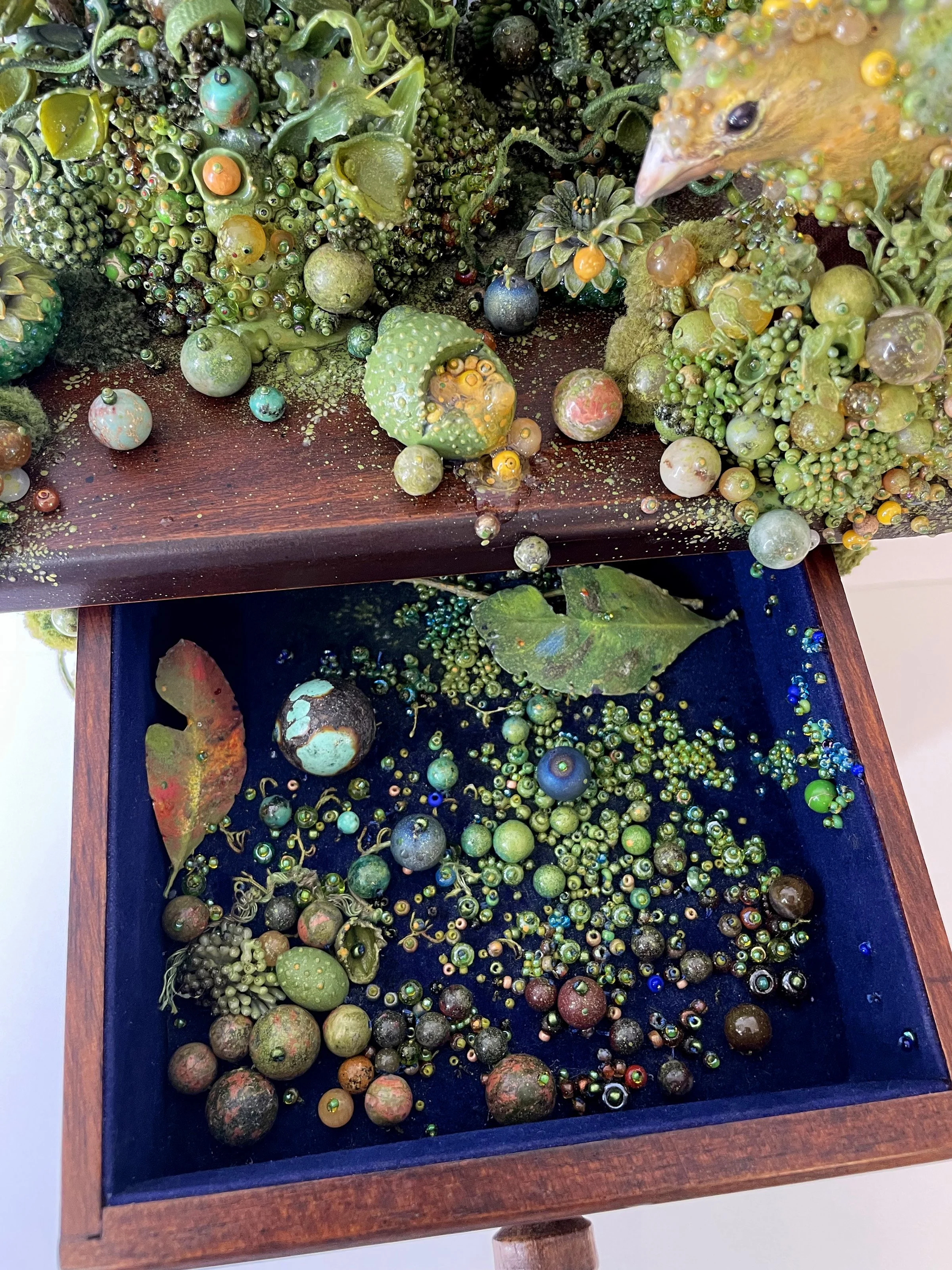 Passerina Femella drawer