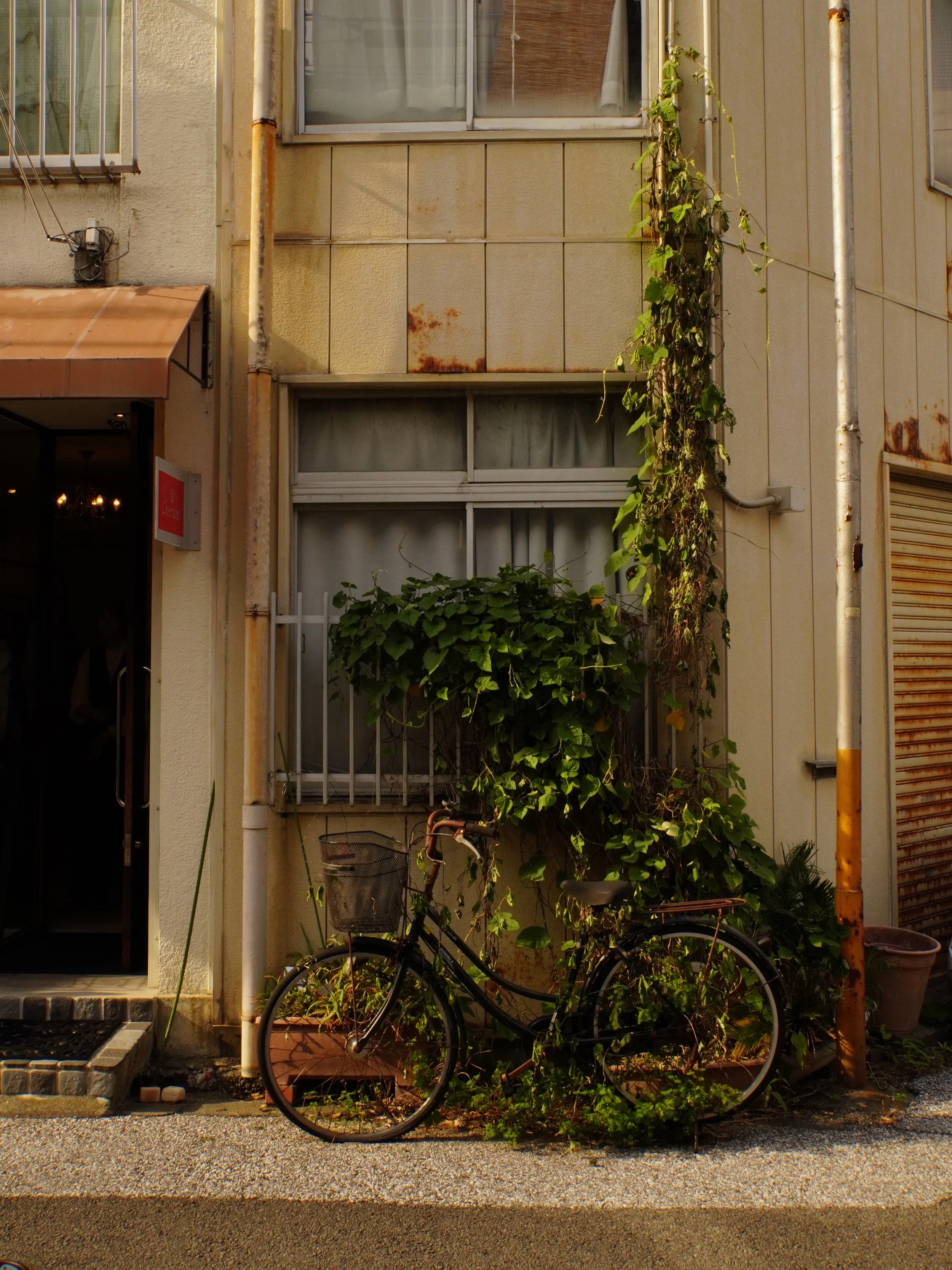 The sidewalk garden scene here in Japan is giving enviable curb appeal. The rustic and a bit run down arrangements draw our eye in the most. Always double take the lil flower and garden shops. Should we add a little greenery to the front of the shop?