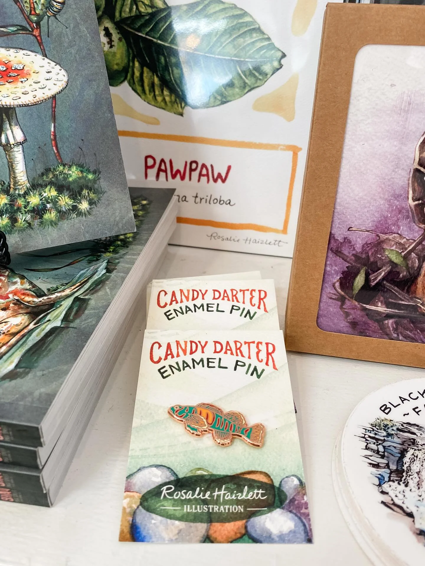 Happy Friday! 🙌 We are celebrating by unboxing new pieces from WV artist and illustrator, @rosaliehaizlett! Rosalie shipped us a full restock, including new prints, stickers, greeting cards, and enamel pins! 😍 Her detailed watercolors really pop an