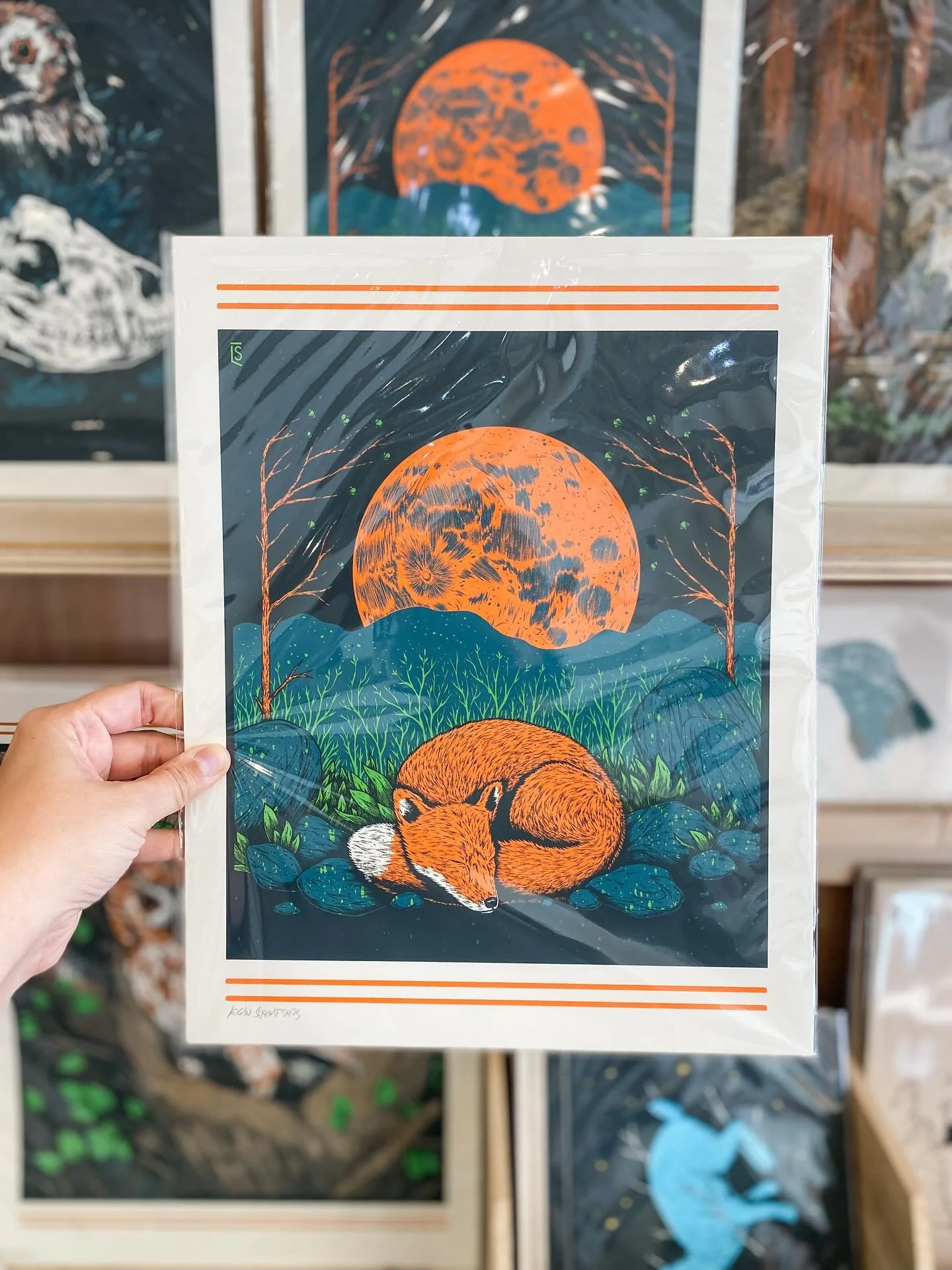 New prints and stickers in from Wheeling artist @loganschmittillustration! 🙌 Logan&rsquo;s wildlife illustrations are full of color and detail, featuring flora and fauna from Appalachia and North America. 

Pop in soon to check out Logan&rsquo;s inc
