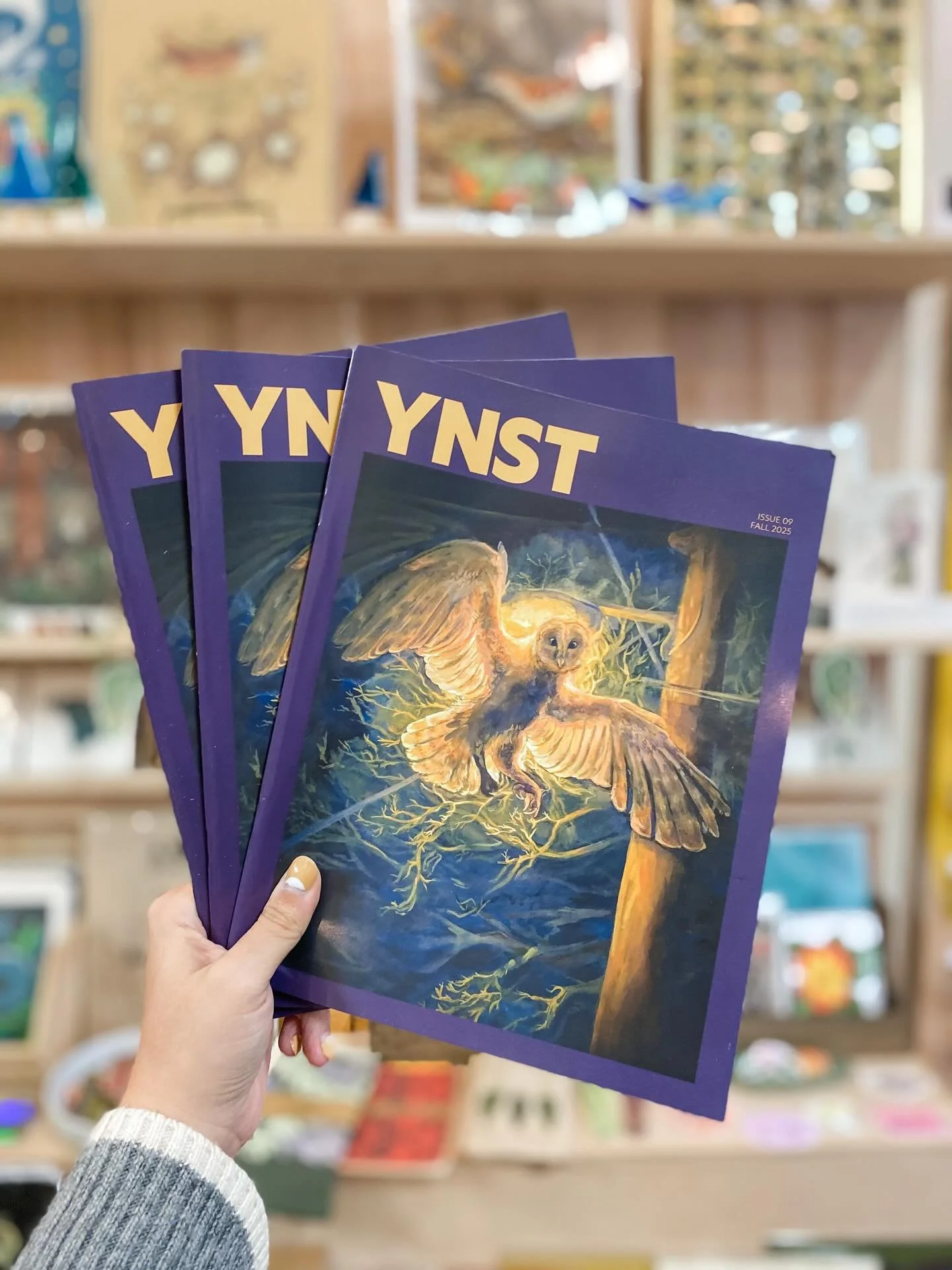 🙌 The latest issue of YNST (You&rsquo;re Not Seeing Things) Magazine is here! This art-filled publication features stories from across the Appalachian region, highlighting artists, musicians, change makers, and more. If you haven&rsquo;t picked up a