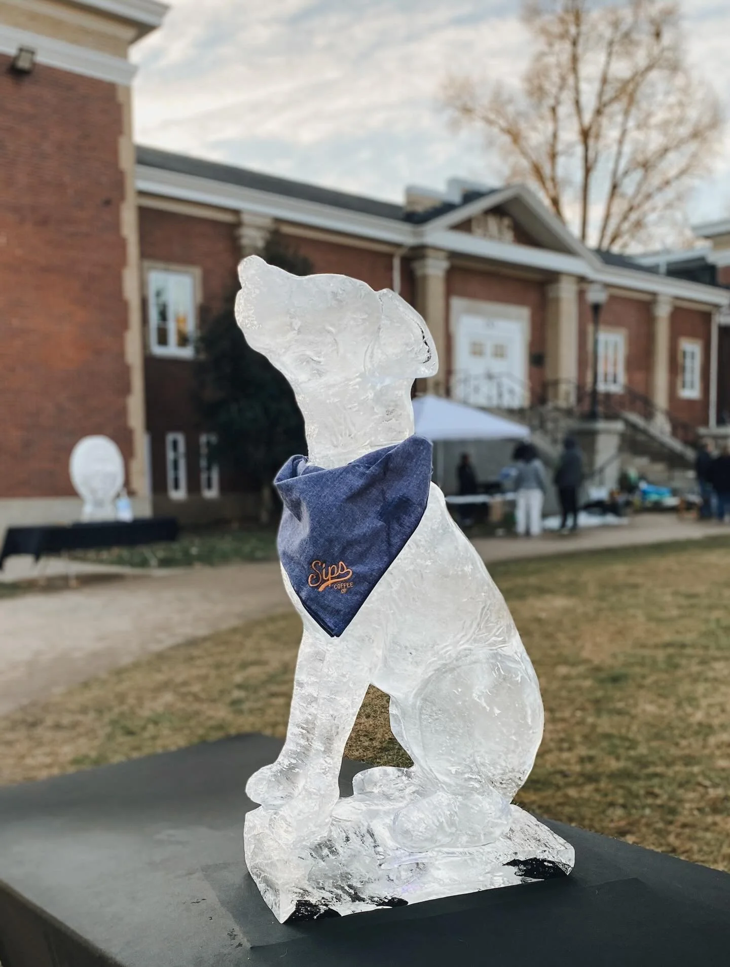 What a day! 🙌❄️ We had the best time walking around downtown to see all of the ice sculptures on display for the Marietta Ice Festival! All carved by Tyson of @whistlericeworks, each one is a work of art - and they only last for so long! Here are a 