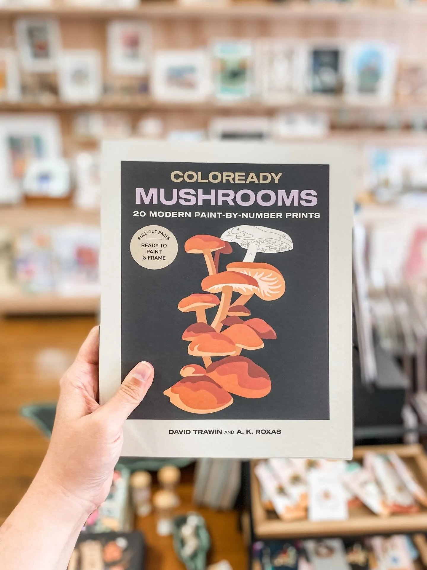 We&rsquo;ve been adding some pretty cool books to the shop lately, like this collection of paint by number mushroom prints - ready to paint and frame! 🍄 

Open 10-6 Monday through Saturday, and 12-4 on Sundays!