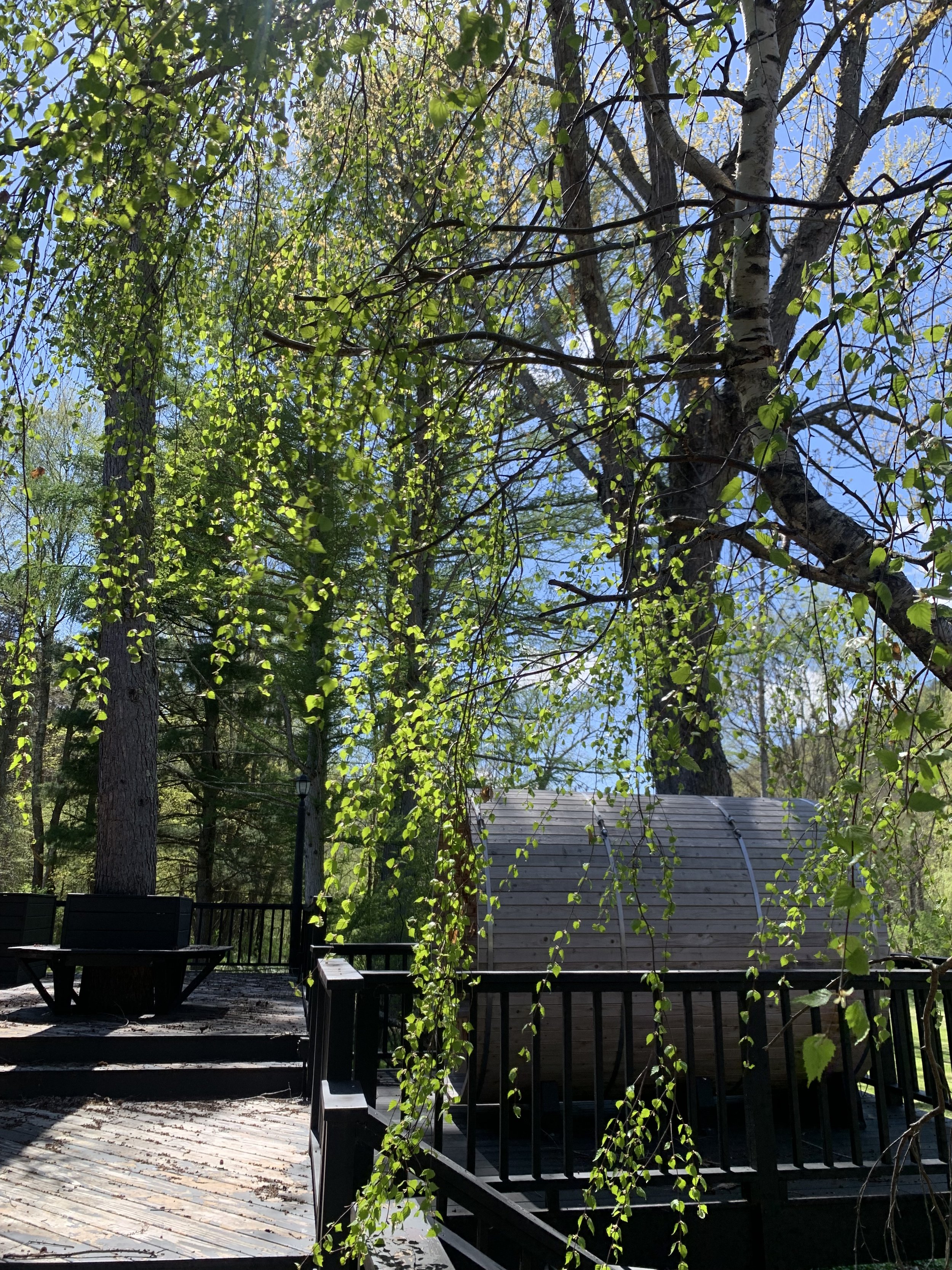 IMG_0556.jpeg