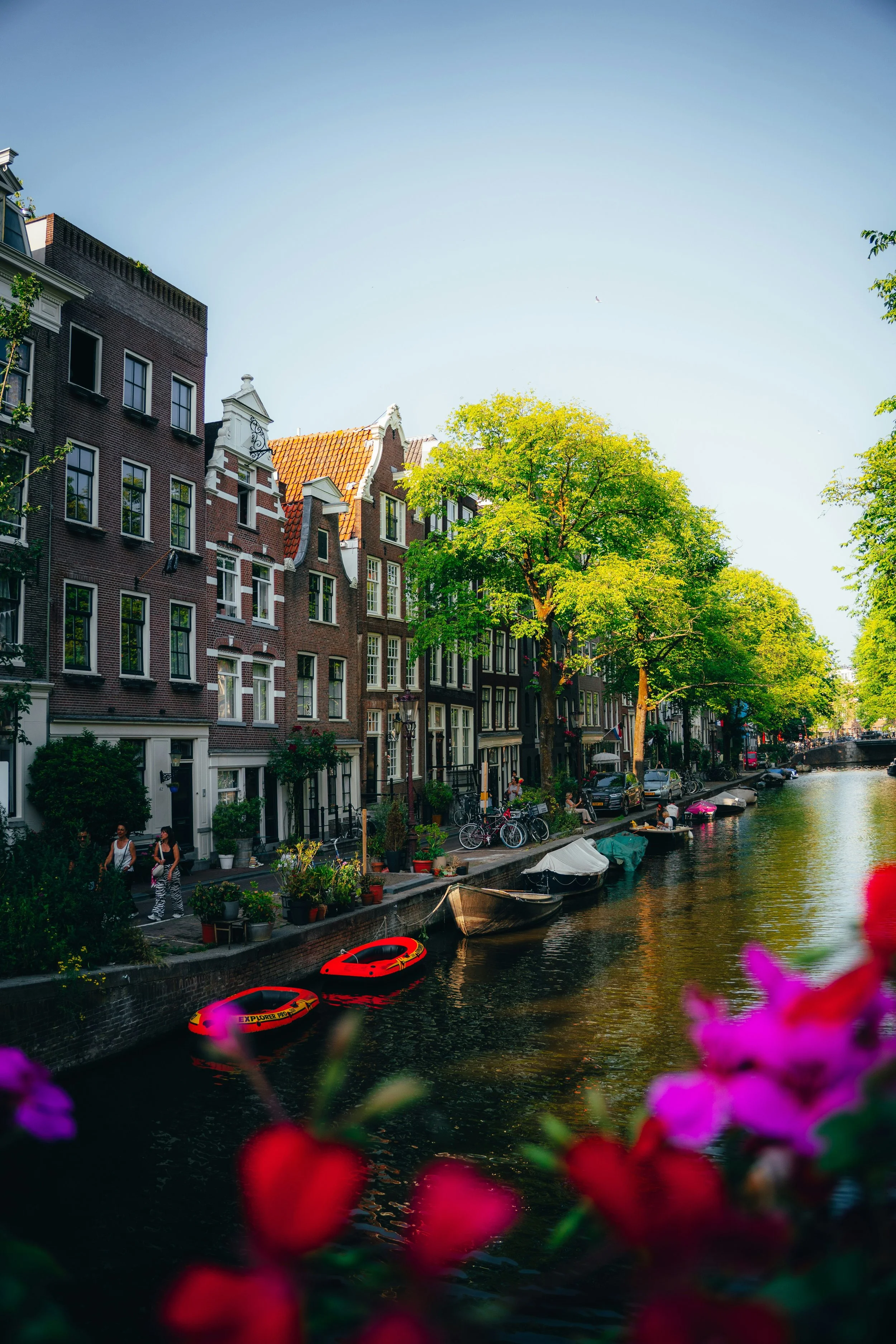 A canal lined with colorful historic Dutch-style buildings, trees, and boats, with pink and red flowers in the foreground.