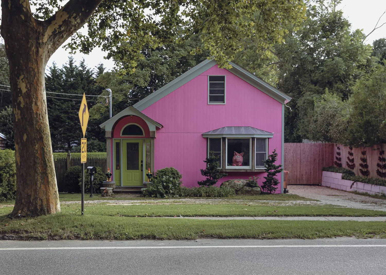 Pink House (for you and me)