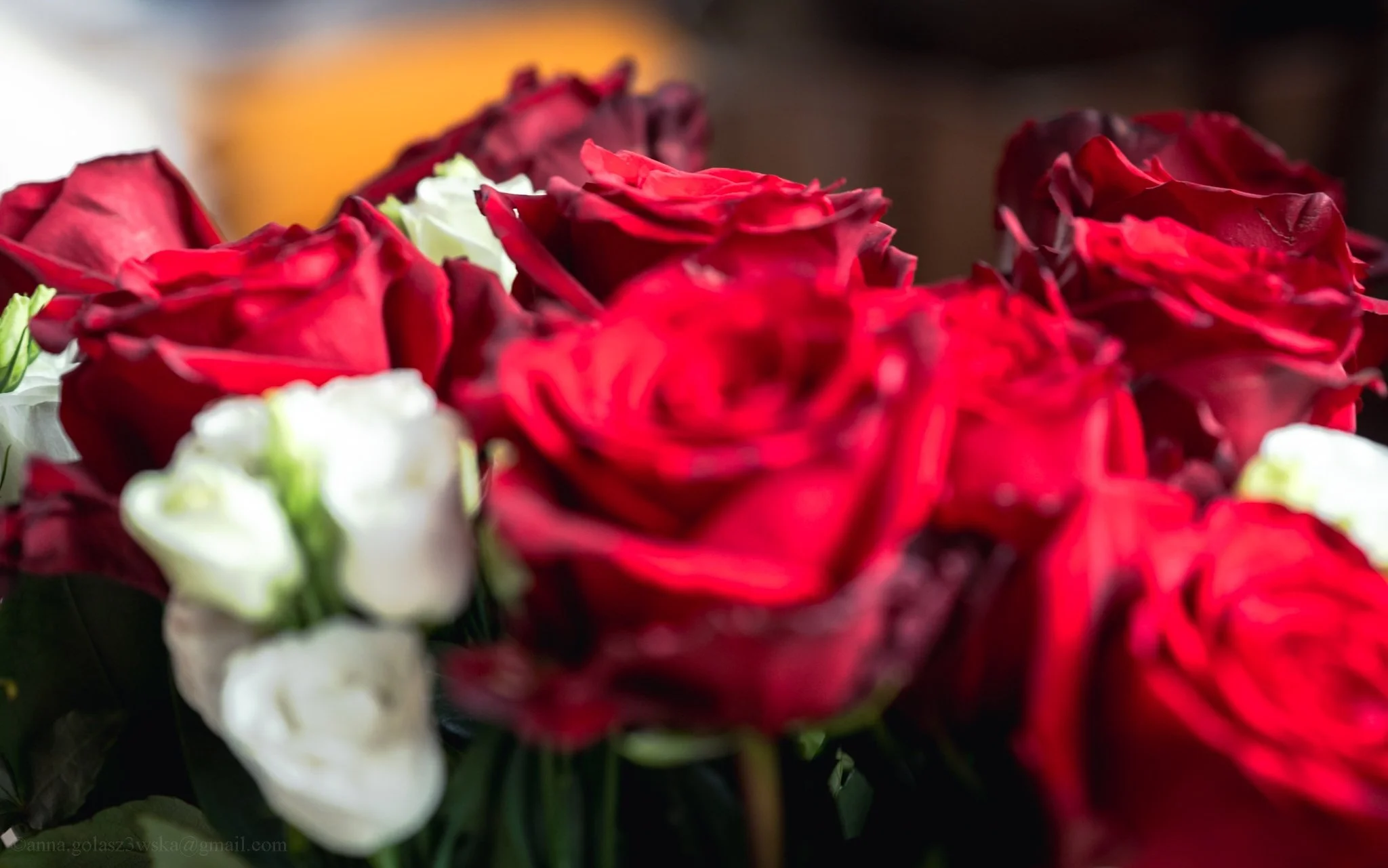 _DSC8586.jpg