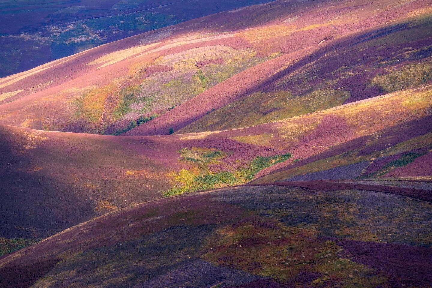 So this was an adventure! After blindly following the sat nav to the lammermuir hills I ended up at the bottom of 2 ridiculously steep hills, one direction looked 90deg and honestly the other direction looked about 180 so couldn&rsquo;t get back out.