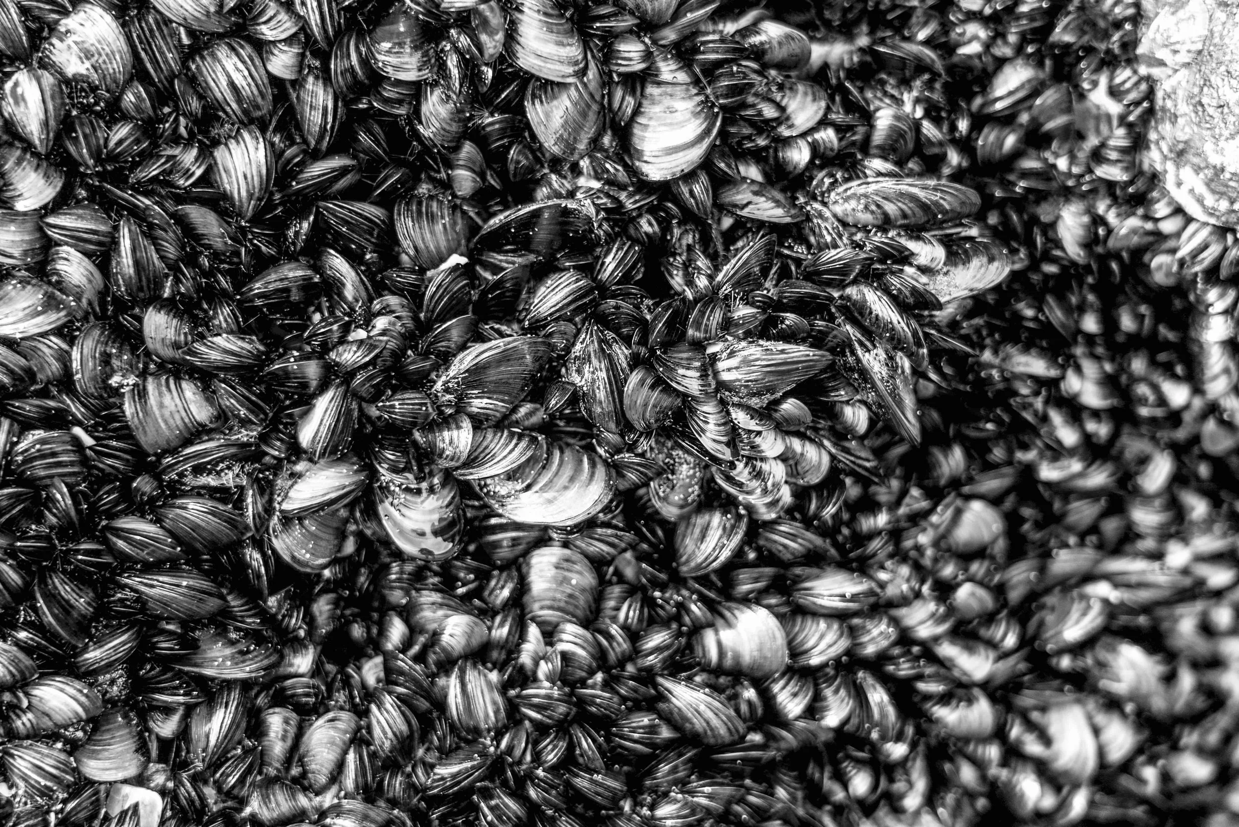 PORTUGAL TRIP-05428.jpeg