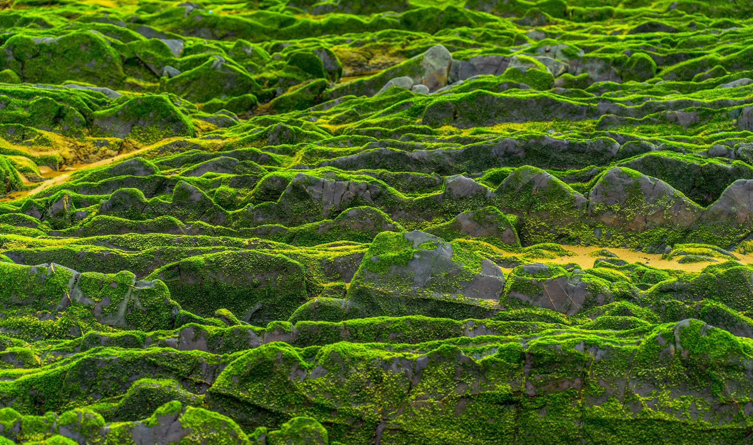 Milafontes 10x12.jpg