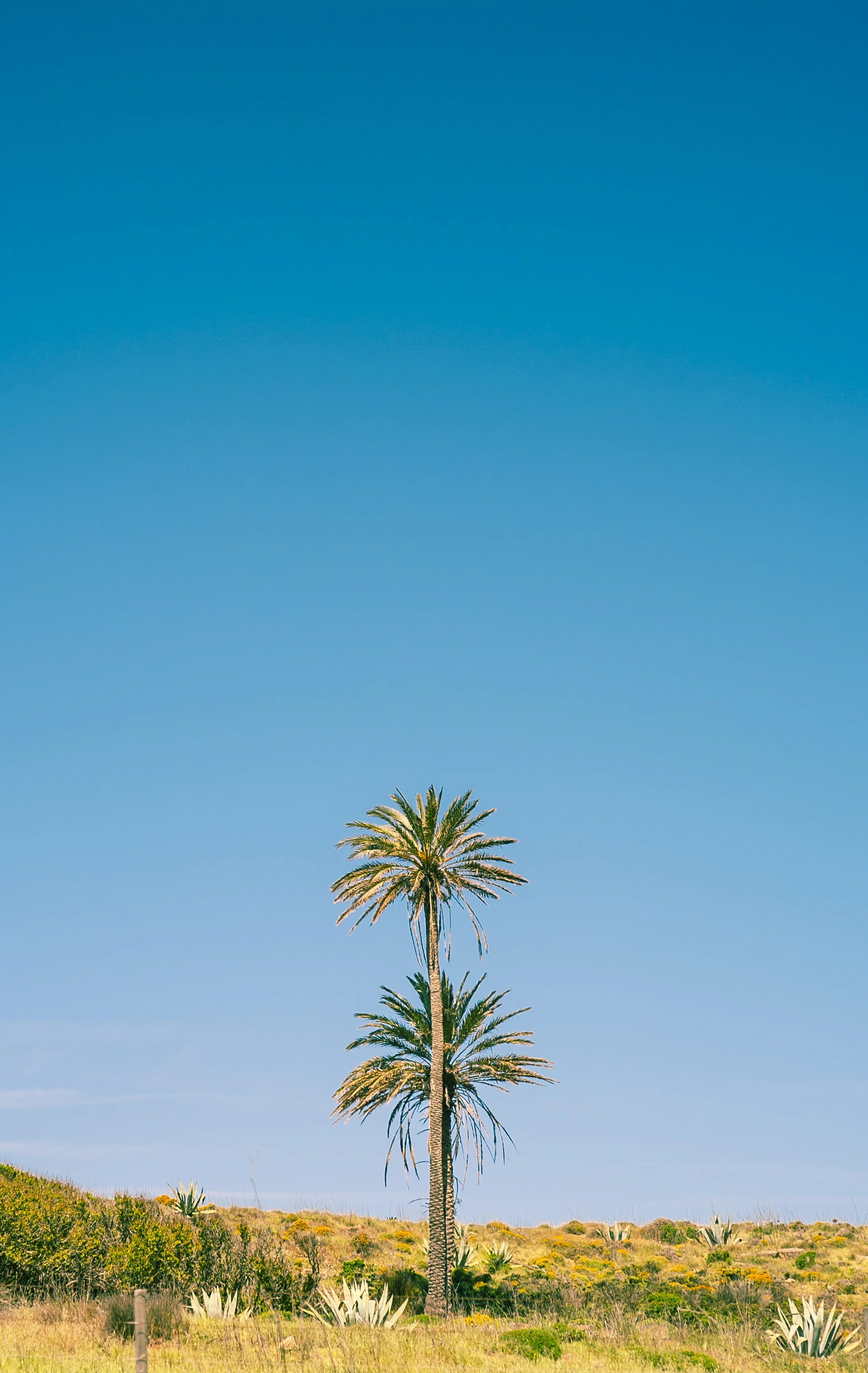 PORTUGAL TRIP-05087.jpg