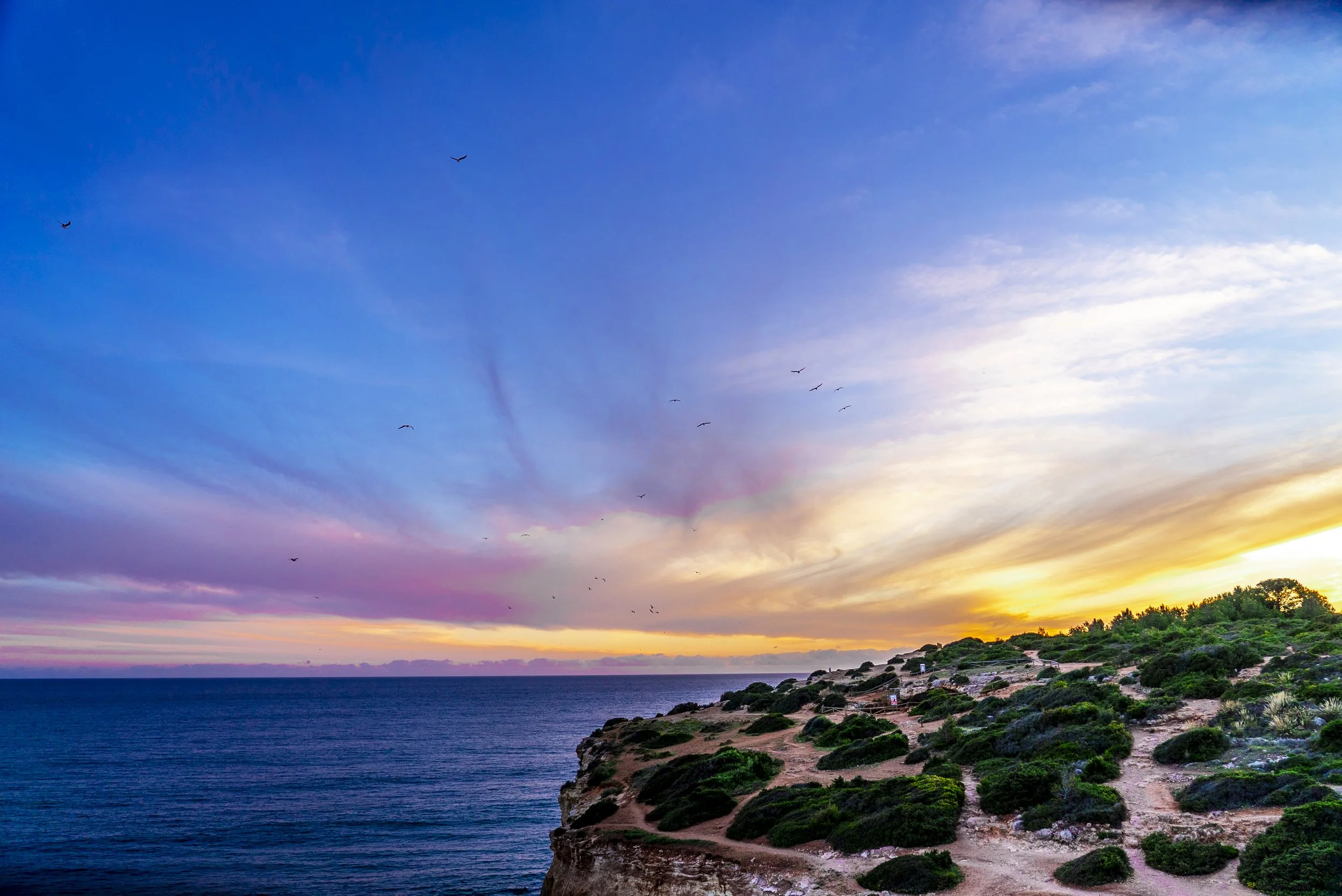 Portu Trip 2 -02812.jpg