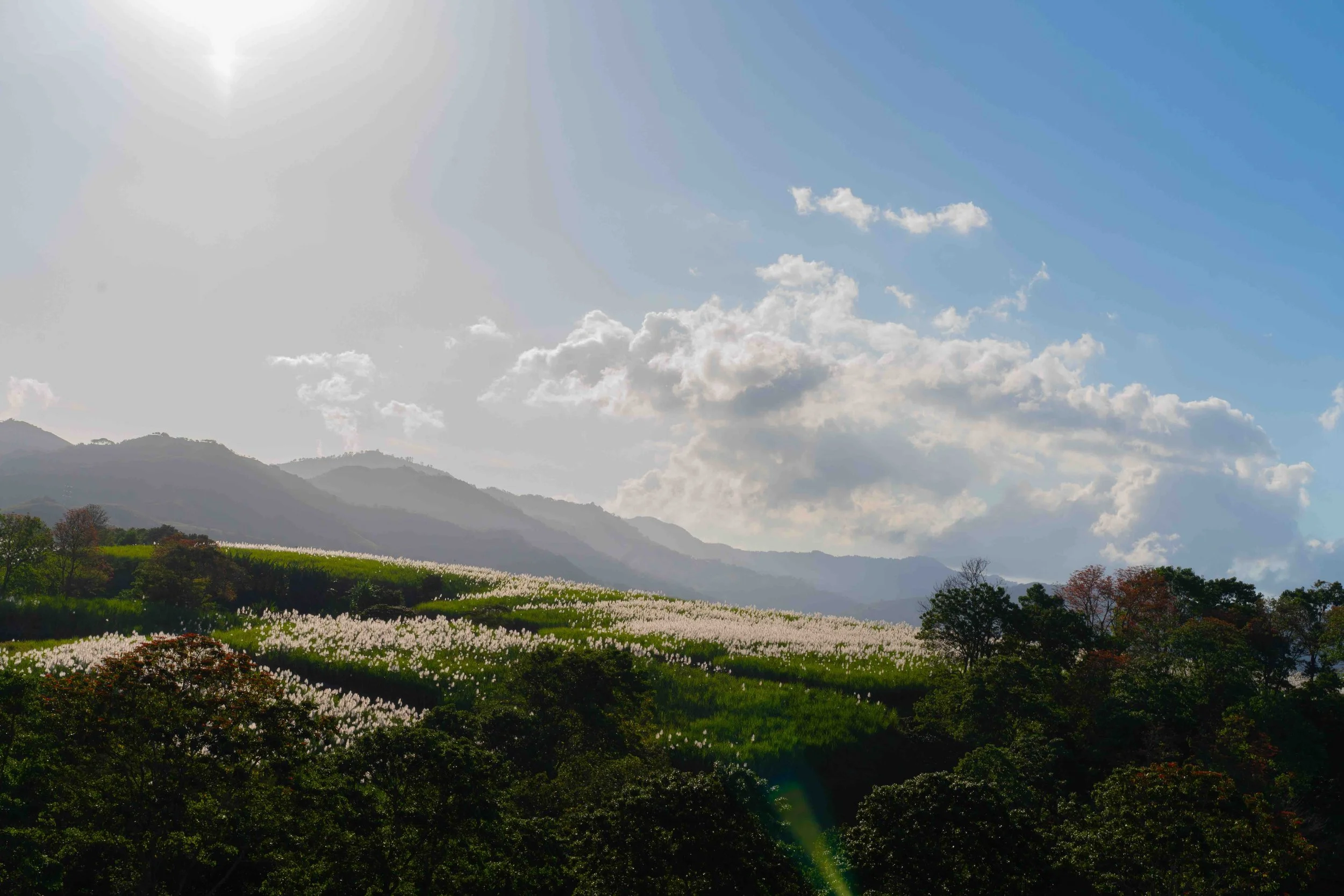 El Canal Entre-06.jpeg