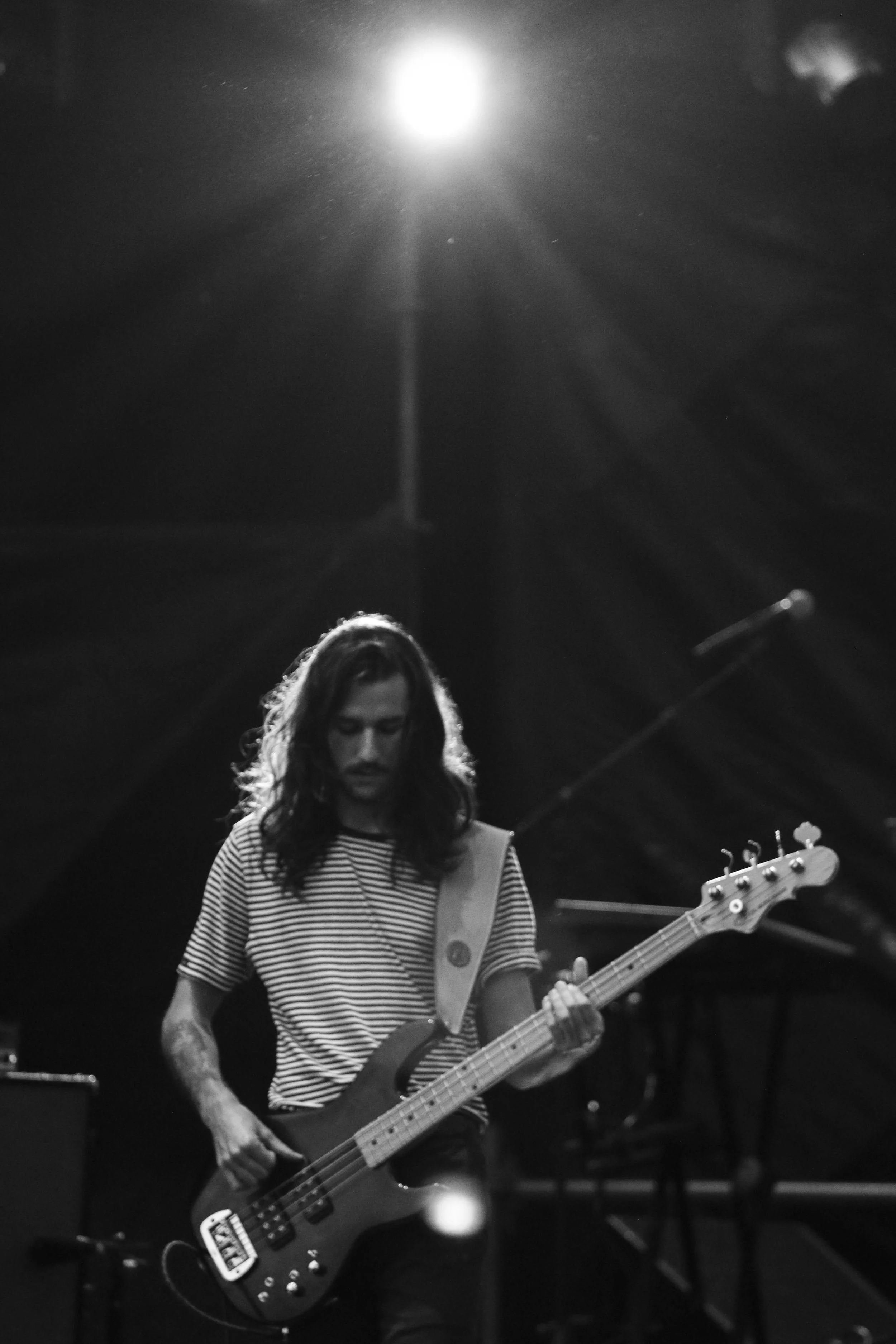 feli stare down gris-7914.jpeg