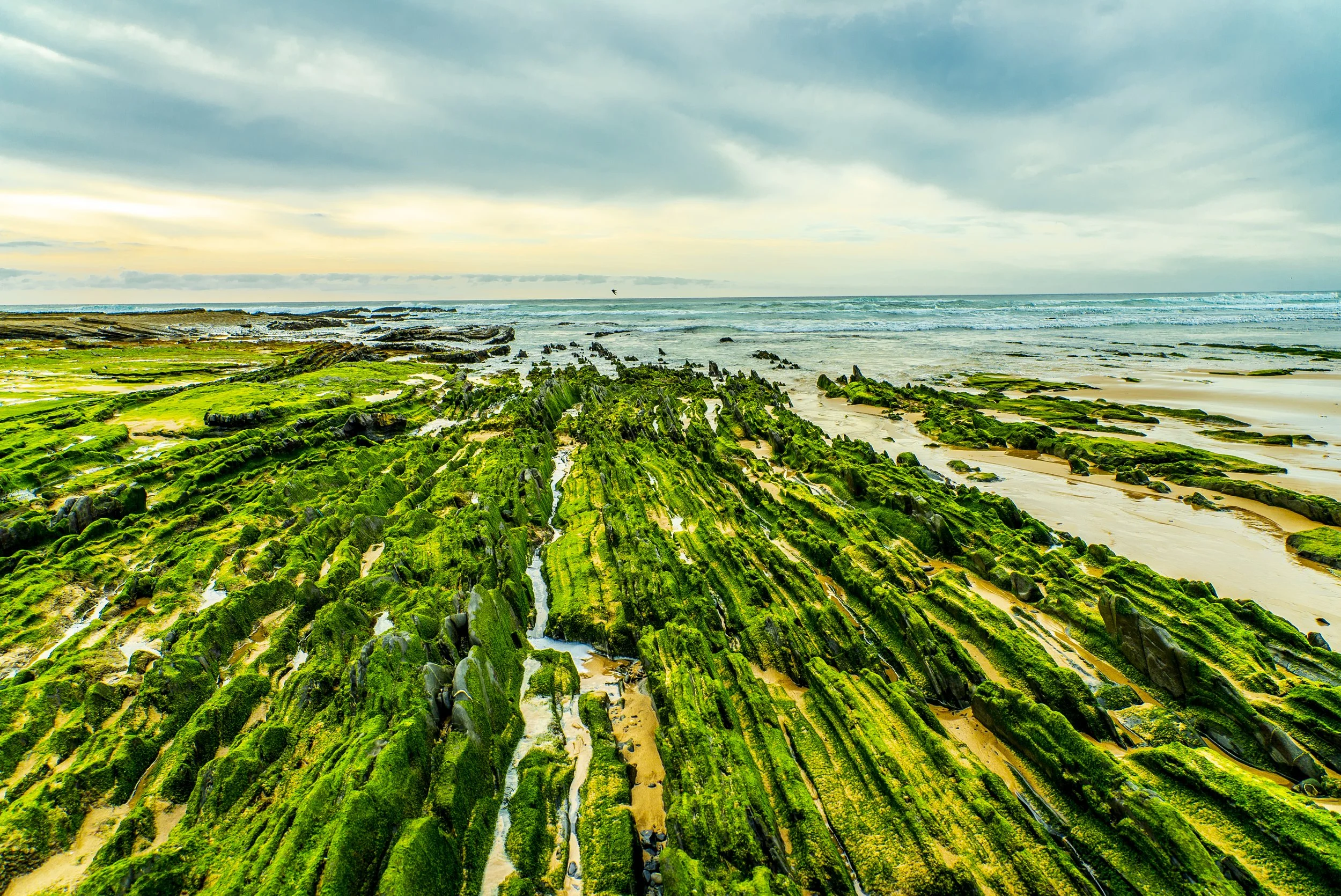 PORTUGAL TRIP-05561.jpg