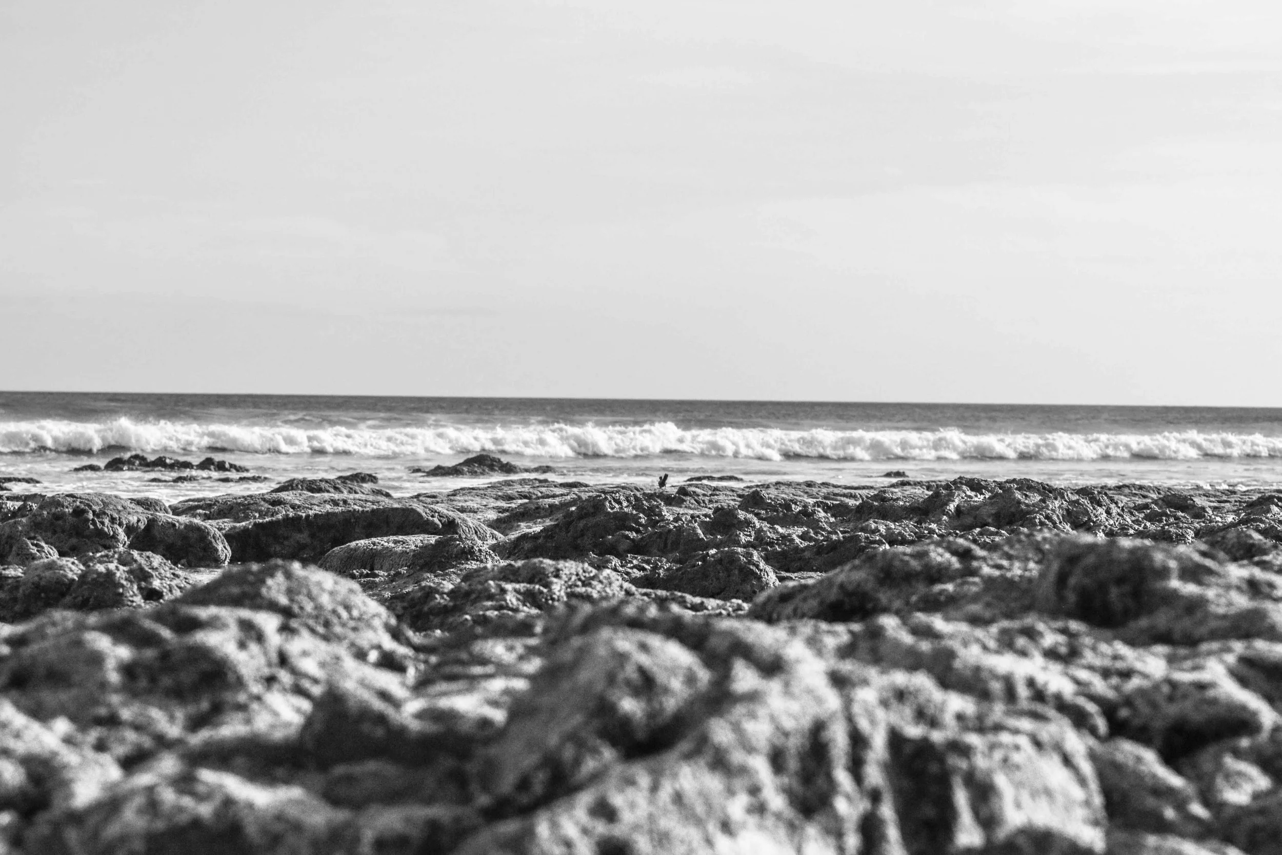 abstract shore-0126.jpeg