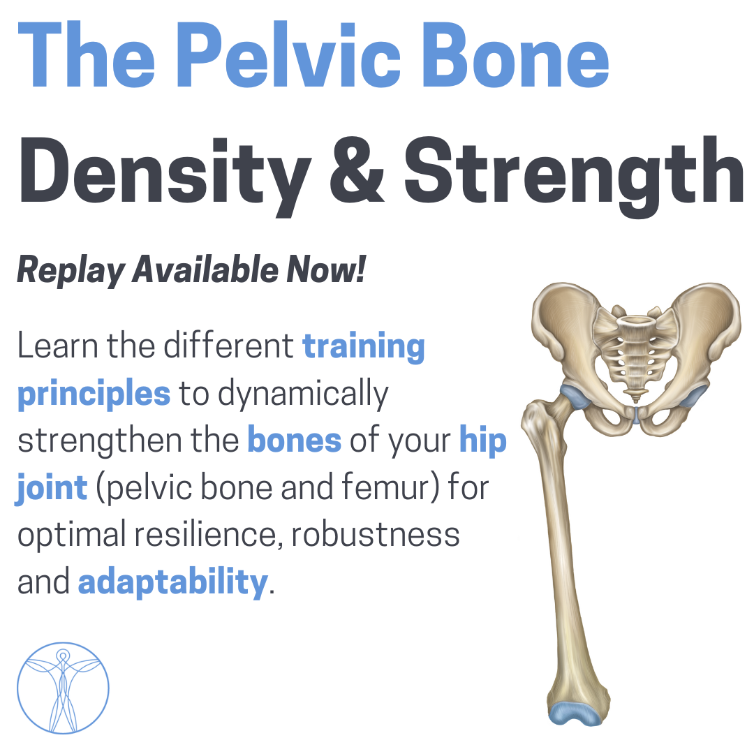 The Pelvic Bone Density & Strength