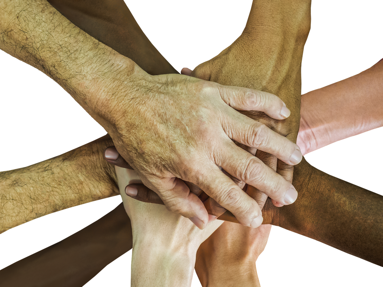 Diversity and Inclusion: “There is only us!”