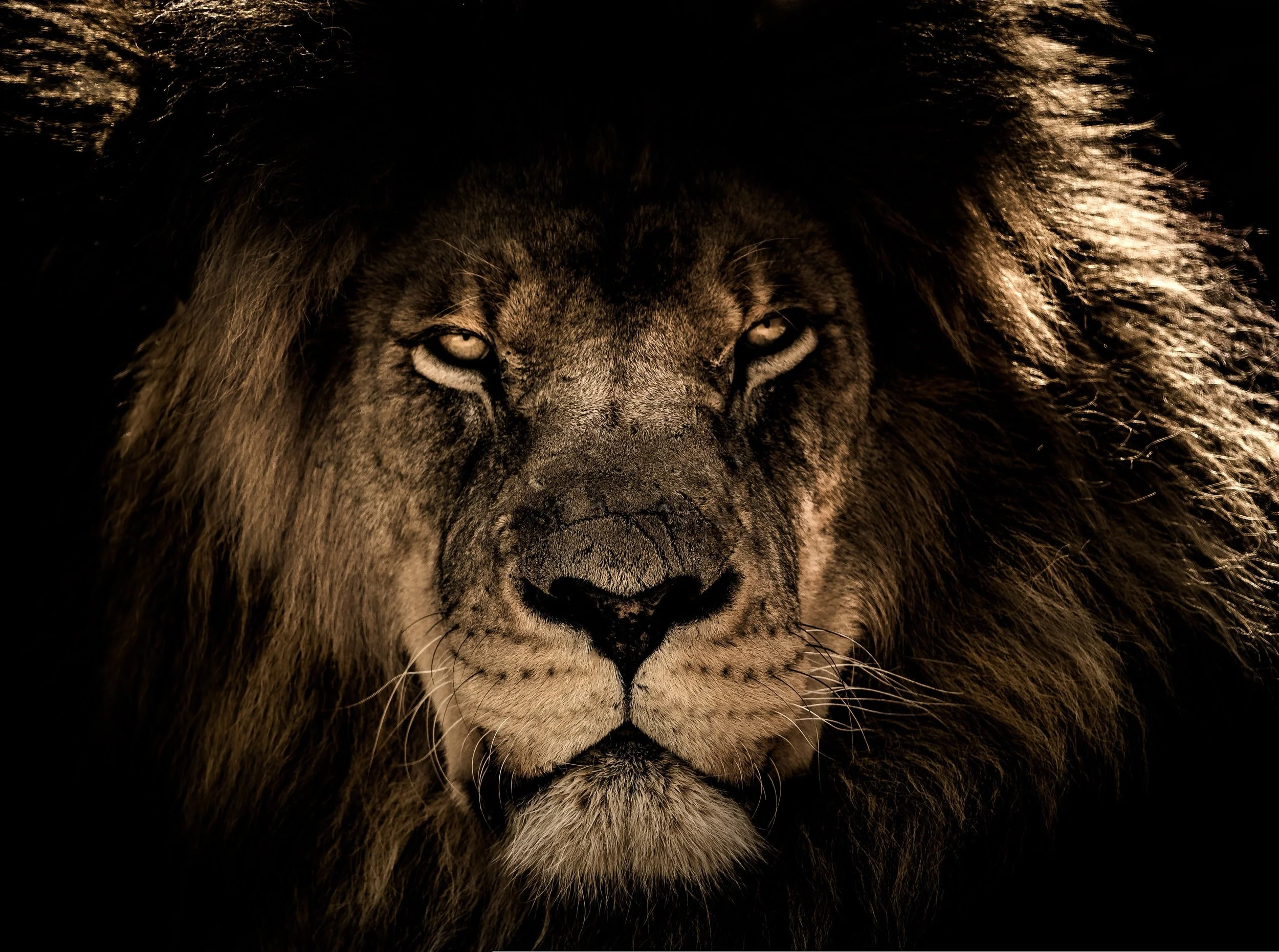 Recognizing and Developing Individual Strengths