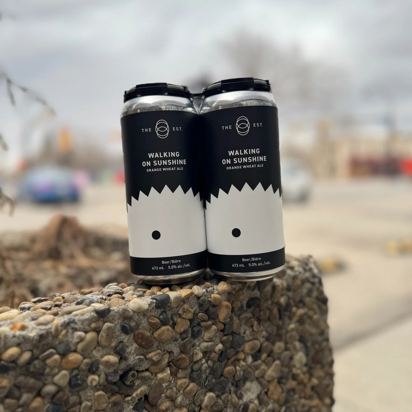 The sky obviously didn't get the memo, but Establishment just released the perfect Spring beer, Walking on Sunshine, an Orange Wheat Ale!
Available now at @oak_and_vine