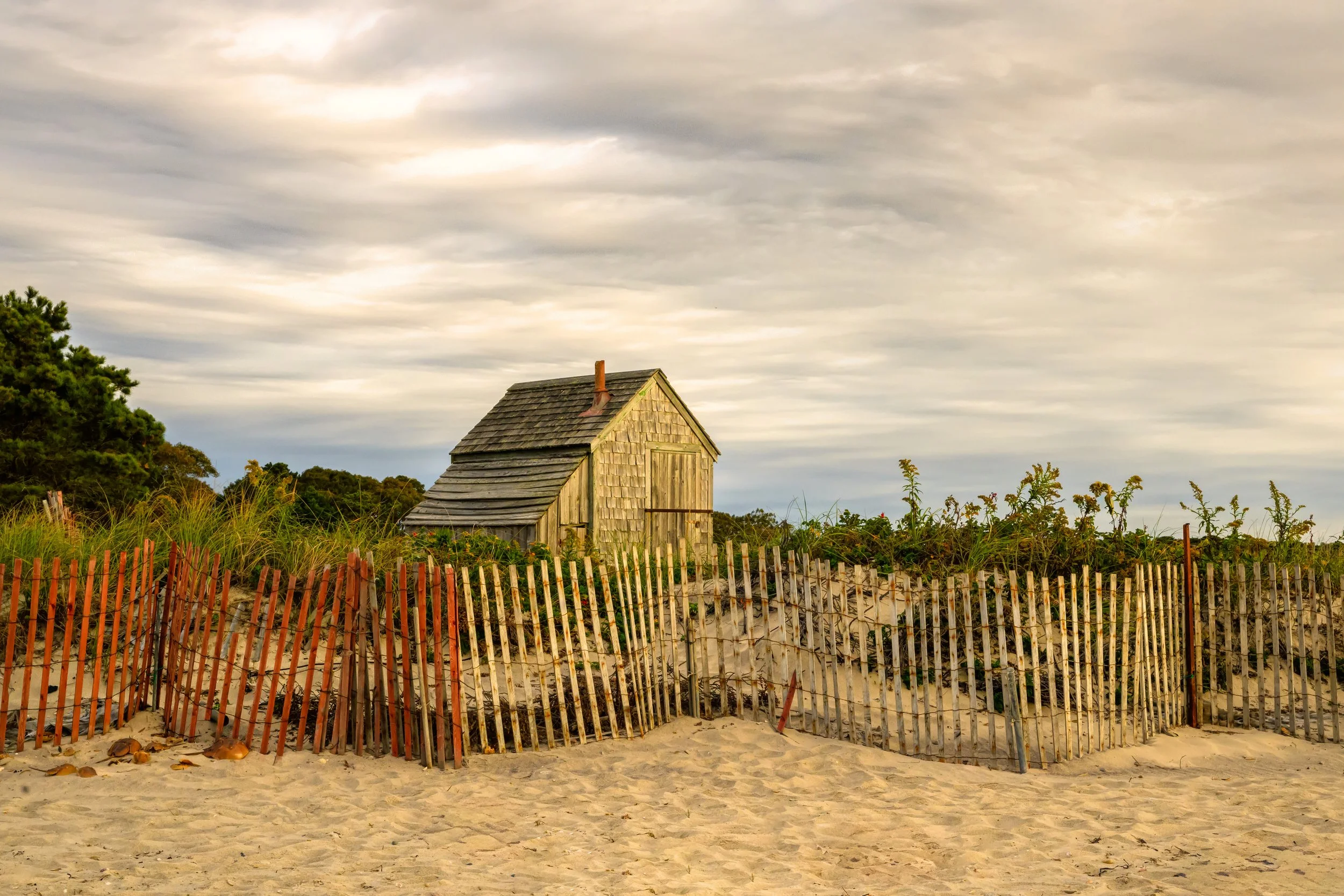 Forest Beach Morning