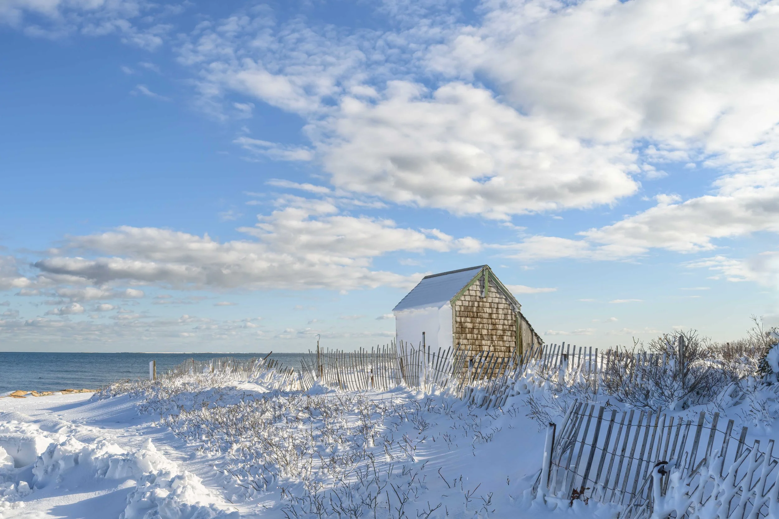 Forest Beach Blanketed in Snow