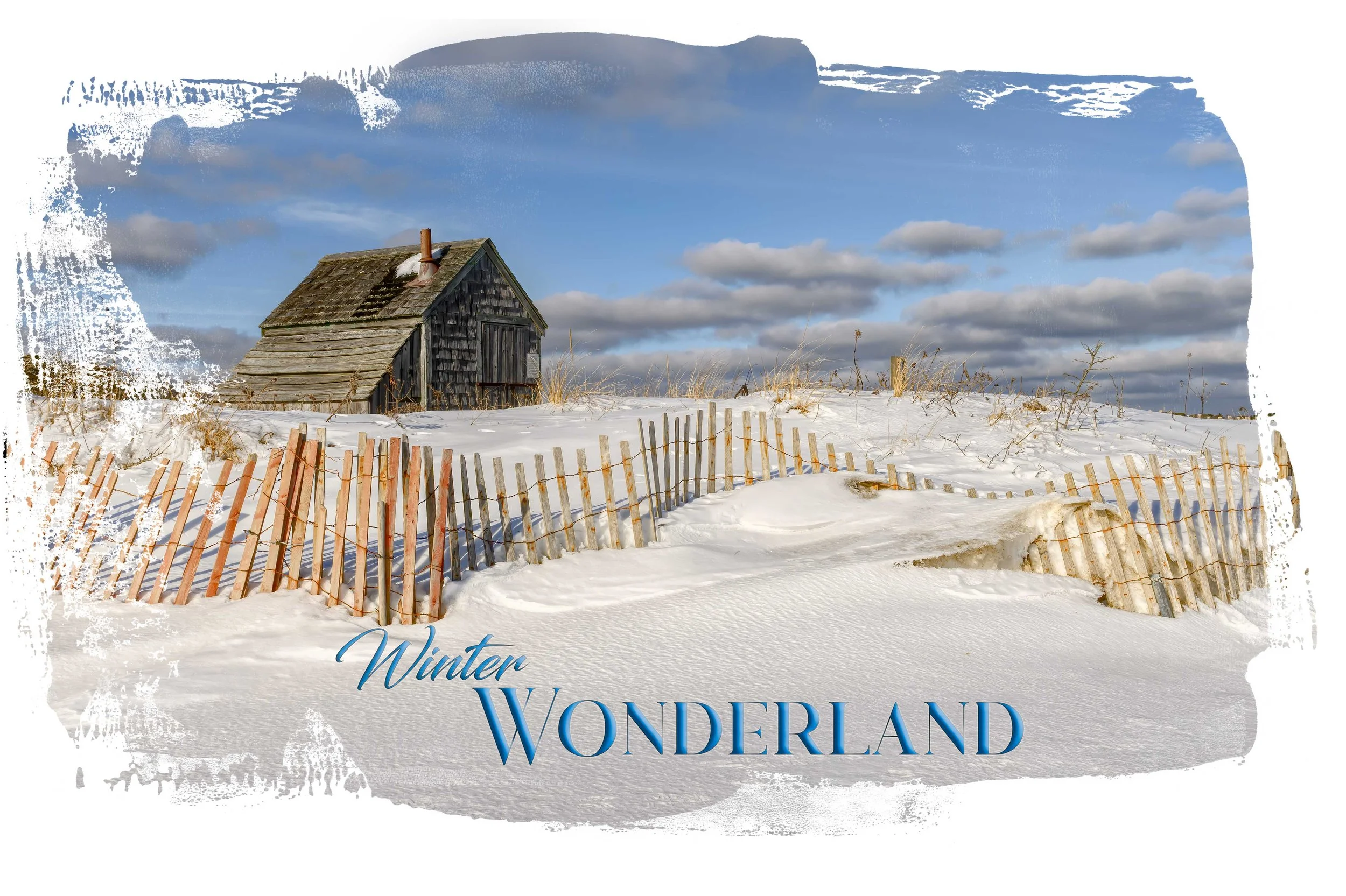 Forest Beach Winter Wonderland