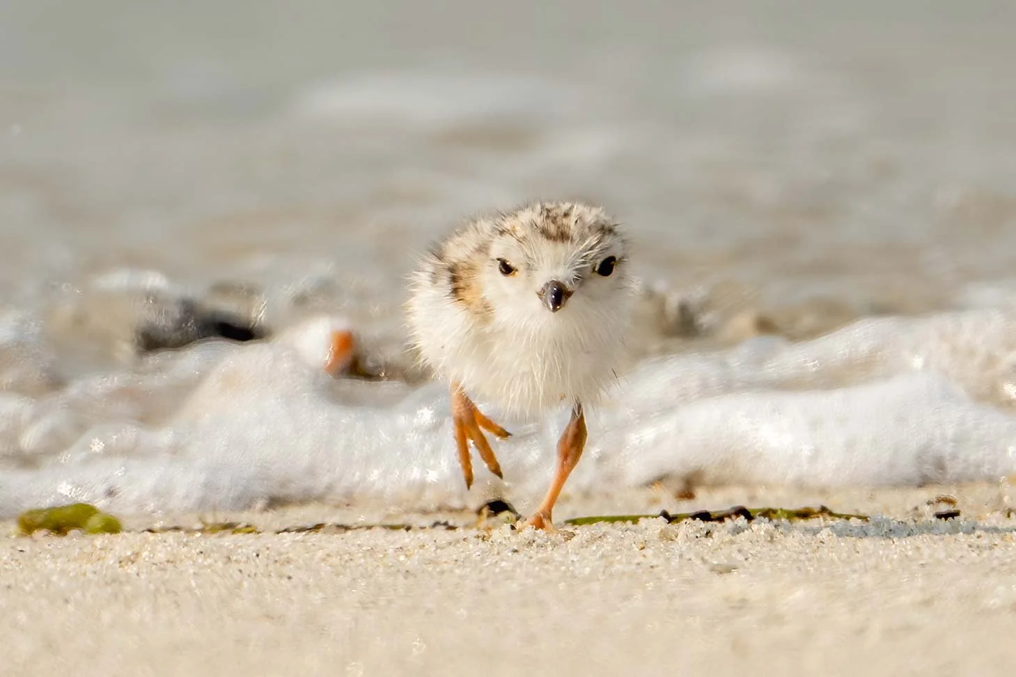 Wave a coming...